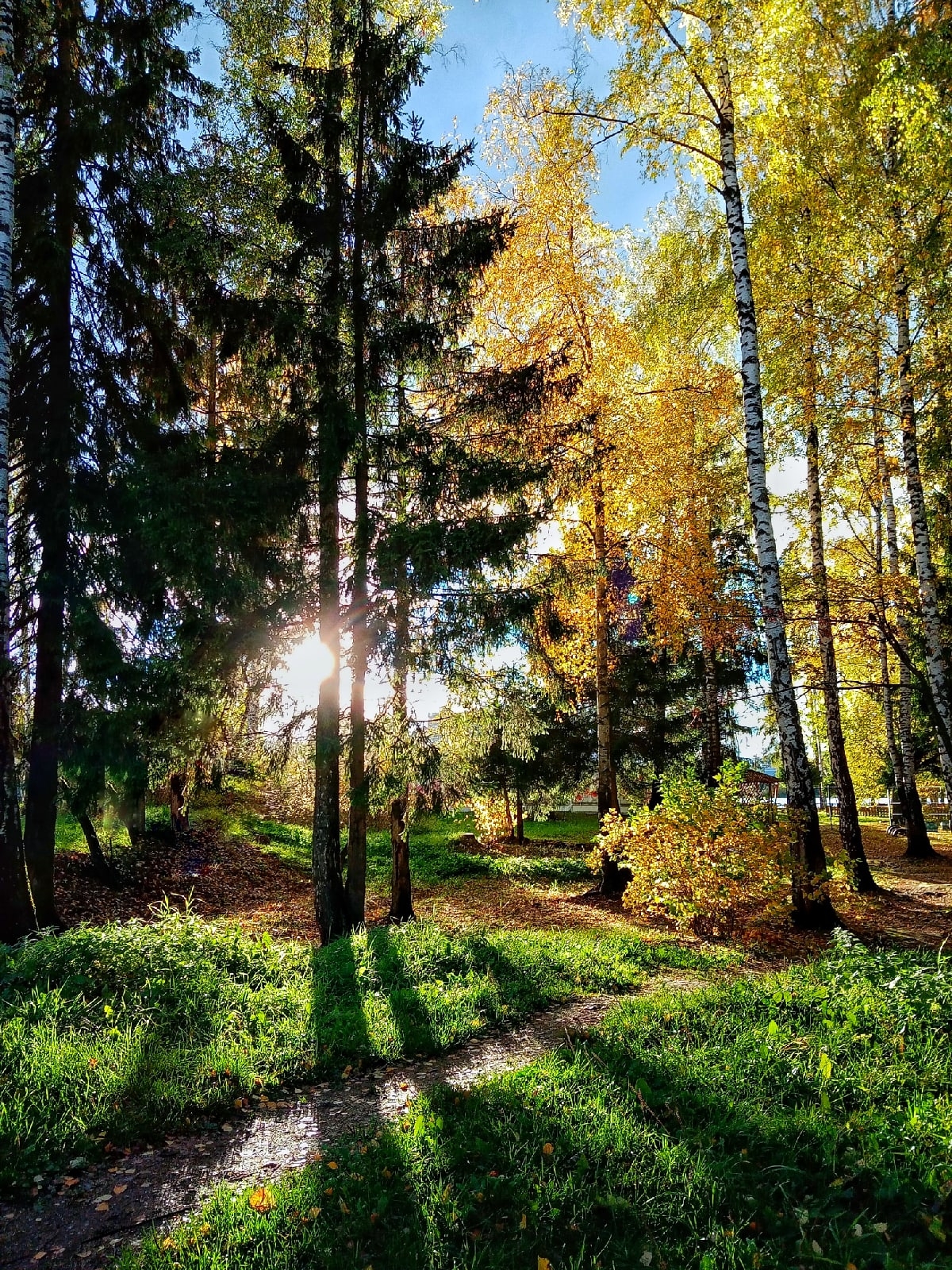 В парке Краснознаменска.