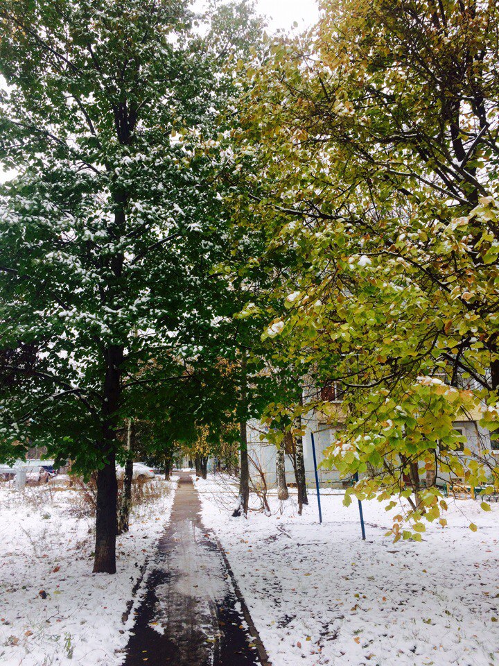 Времена года????????☃️