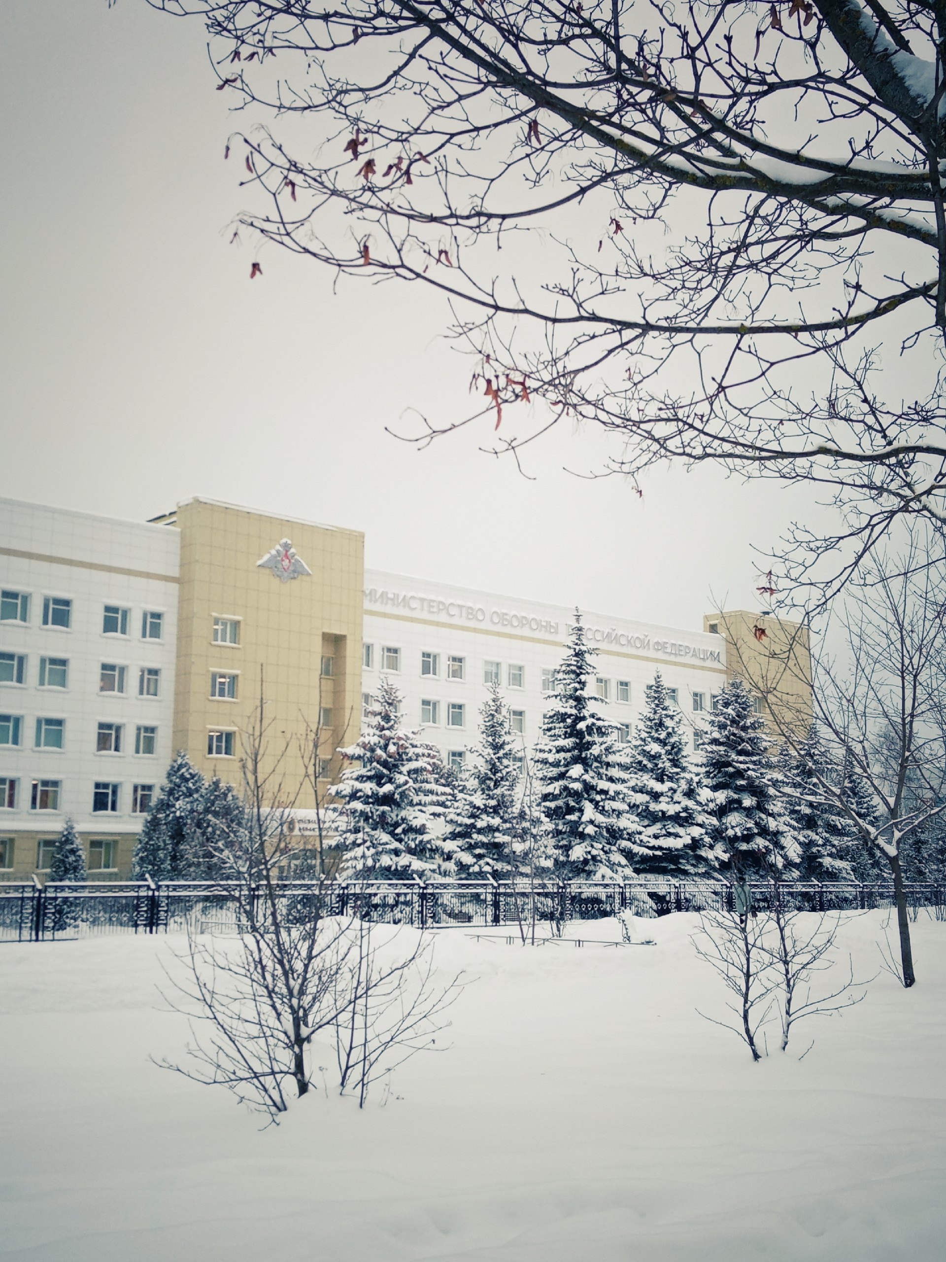 Прогулка по городу. — Краснознаменск