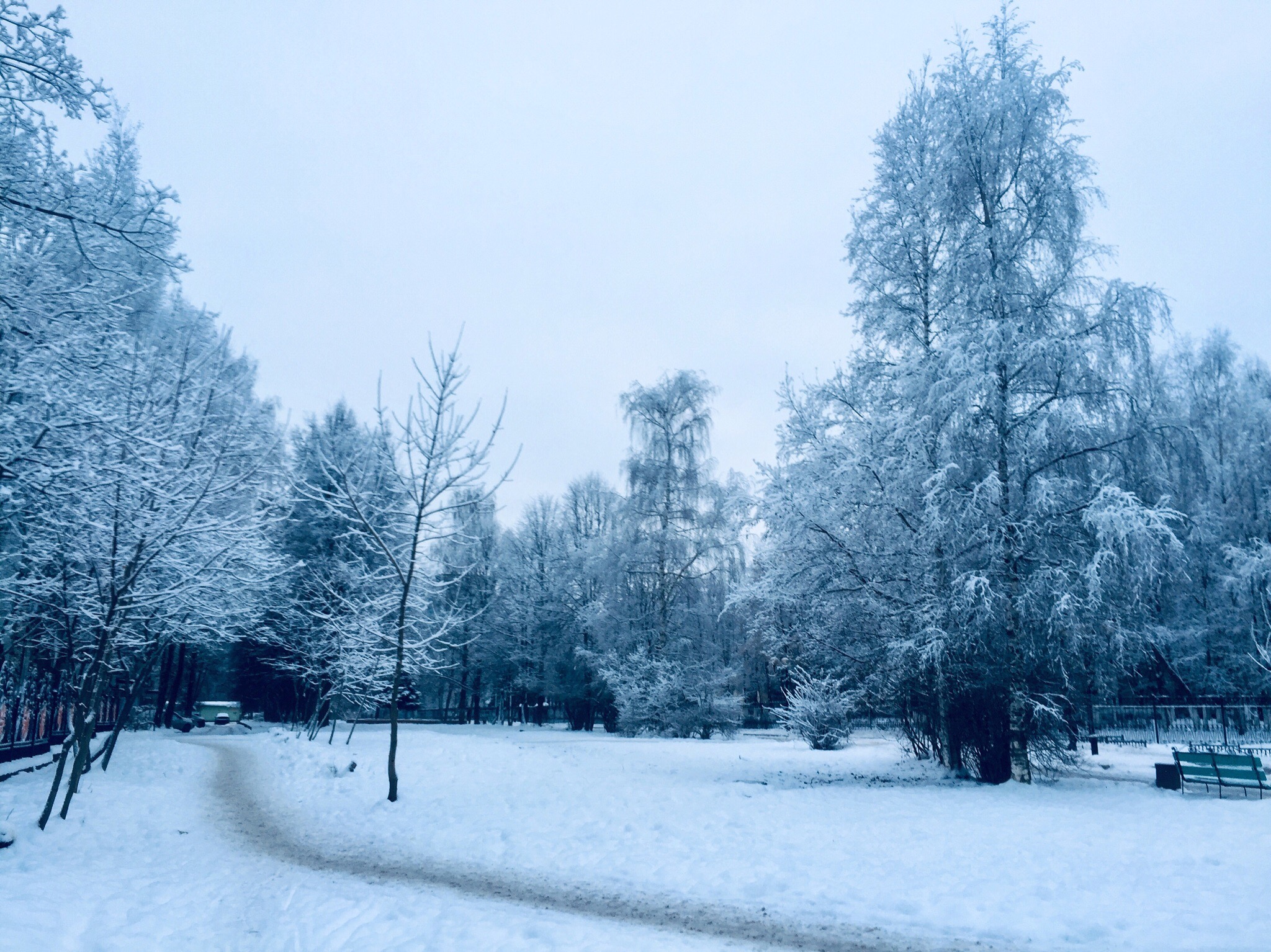 Морозный Краснознаменск ❄  Кто угадает улицу?)
