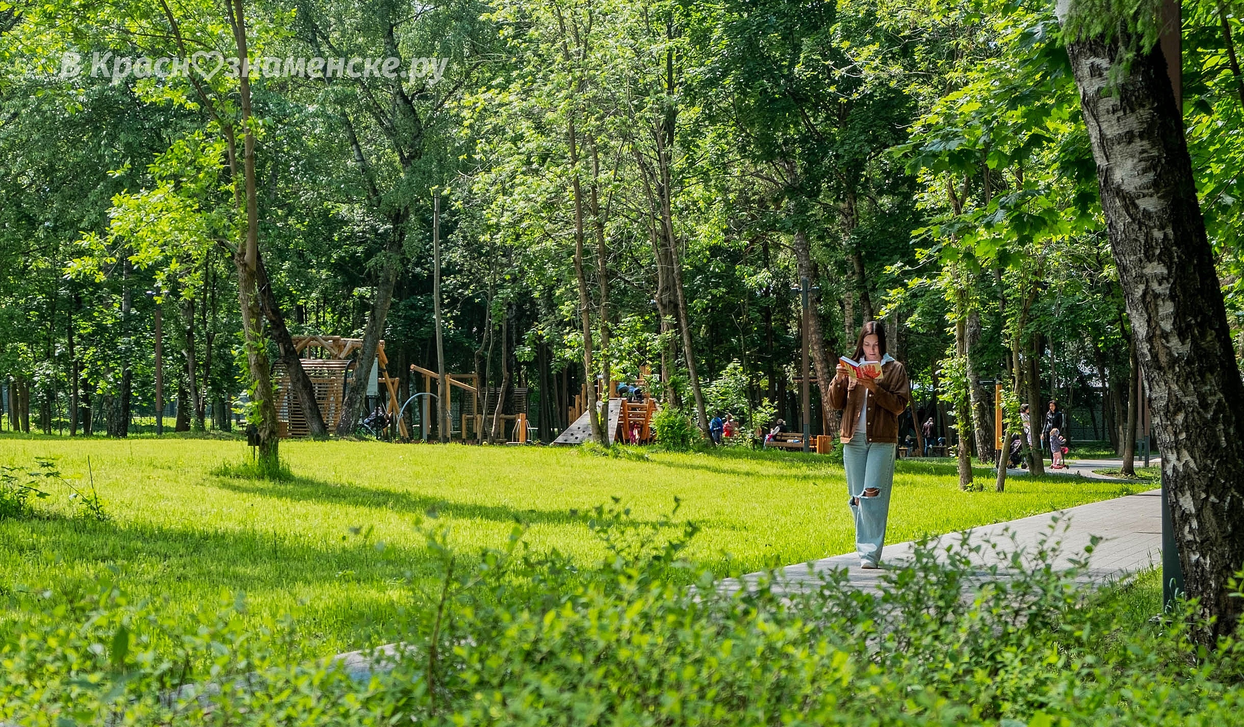 Прогулка по улицам Краснознаменска