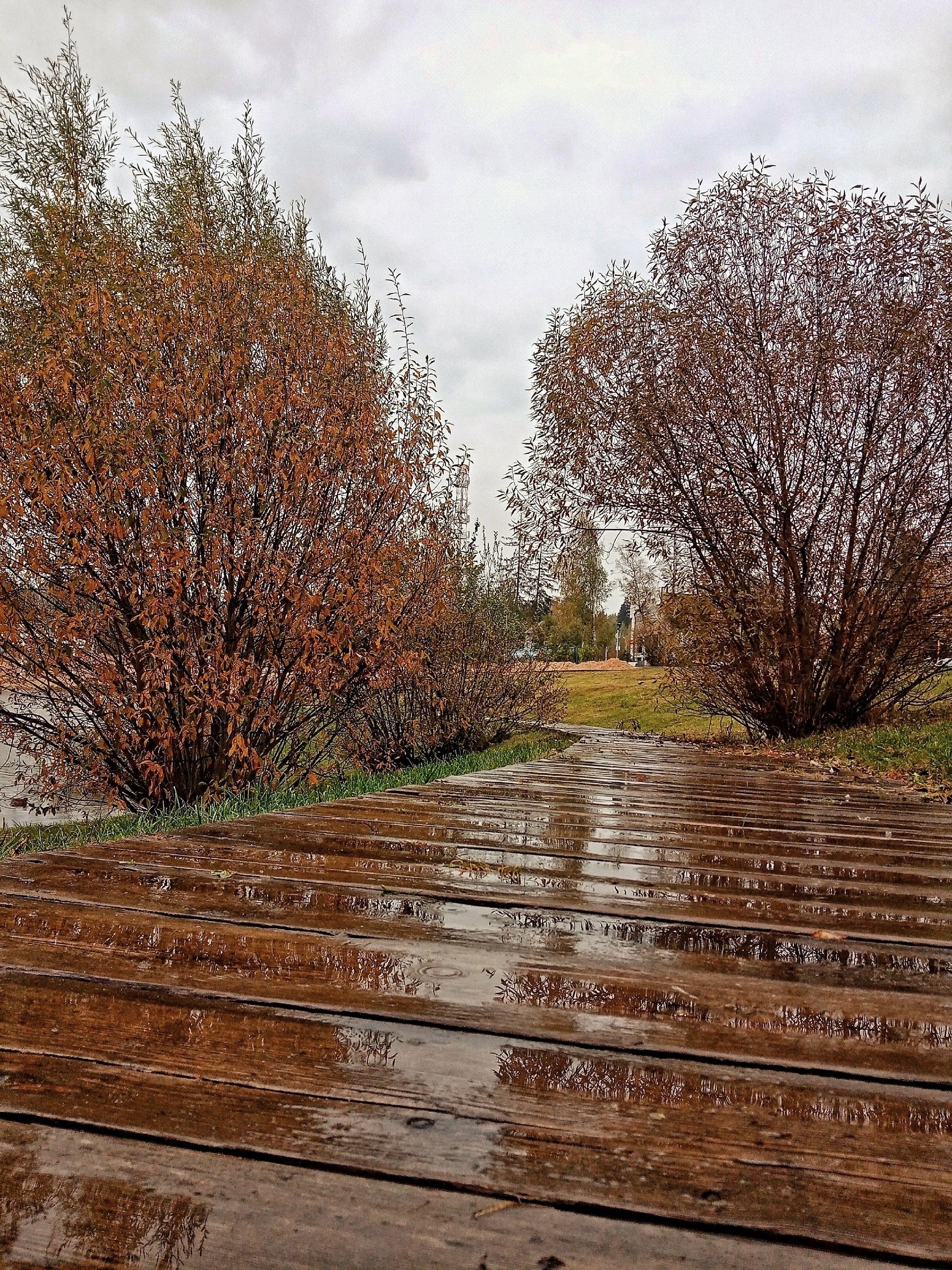 Фото 45954 — Краснознаменск