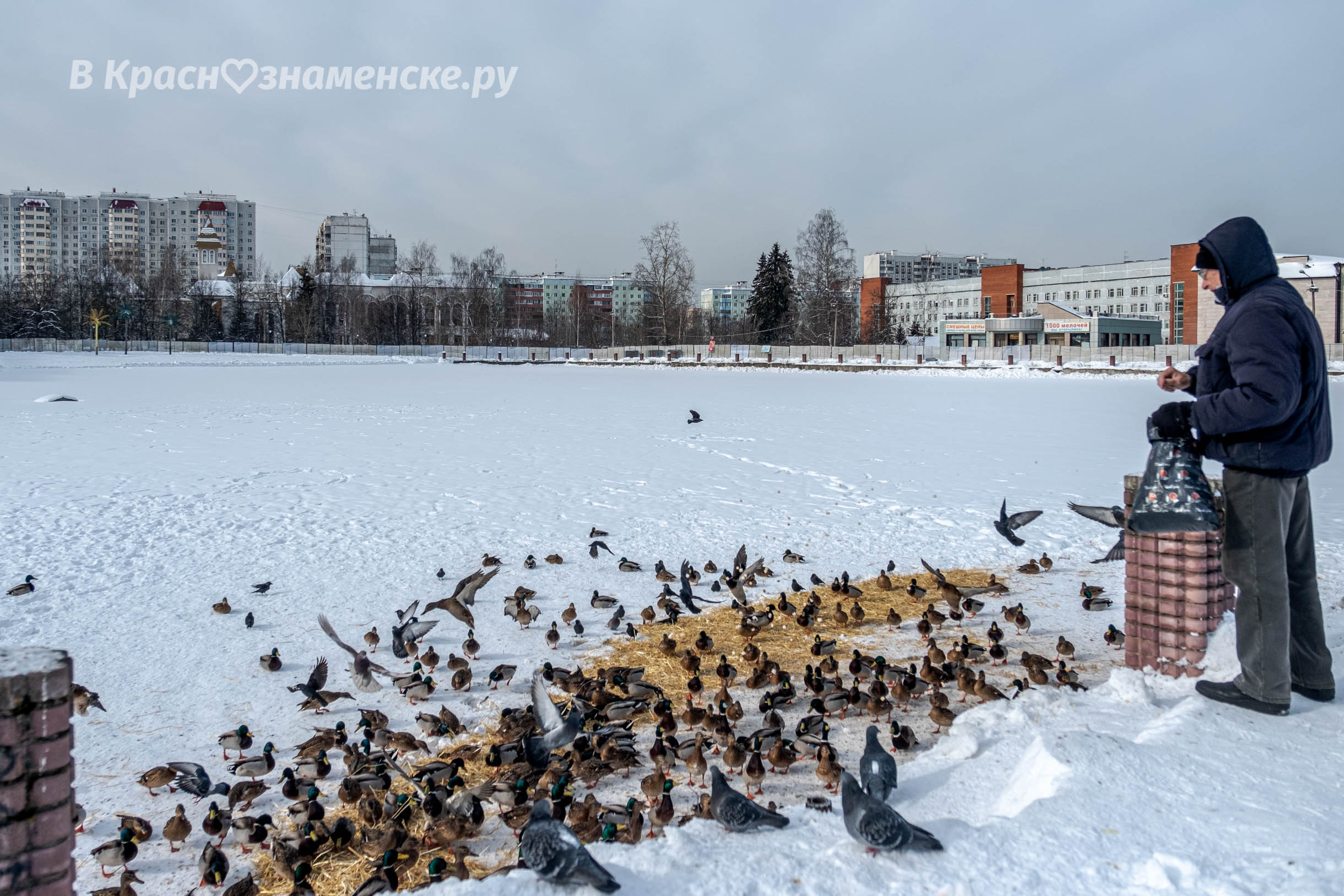 Фото 32888 — Краснознаменск