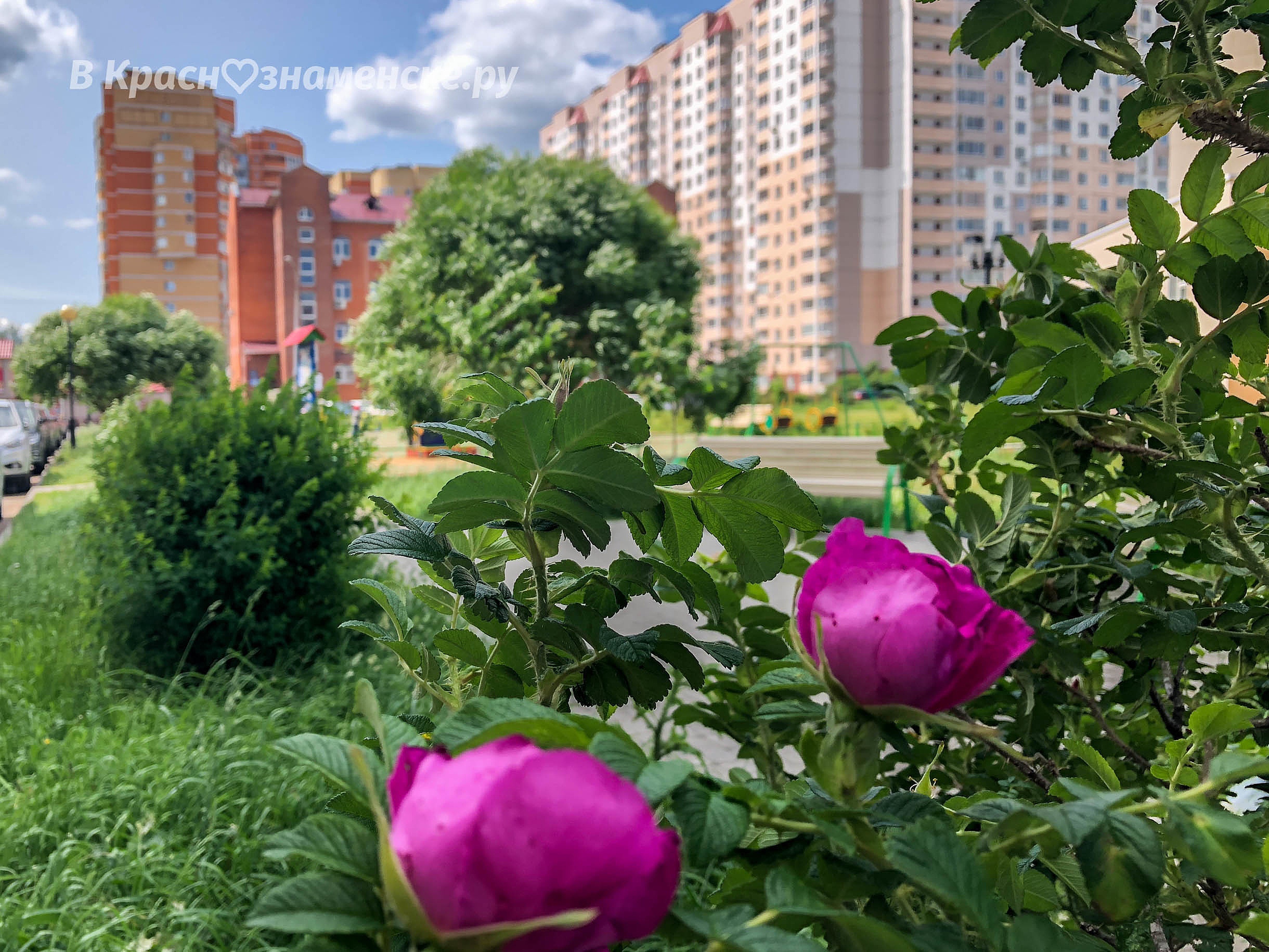 Доброе утро, Краснознаменск! Желаем вам интересной пятницы)
