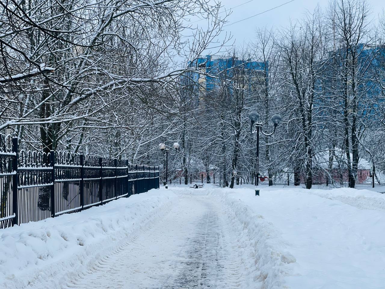 Прогулка по городу. — Краснознаменск
