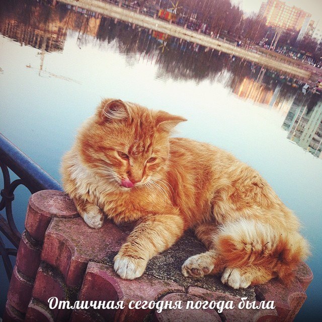 Автор фотографии zasimover