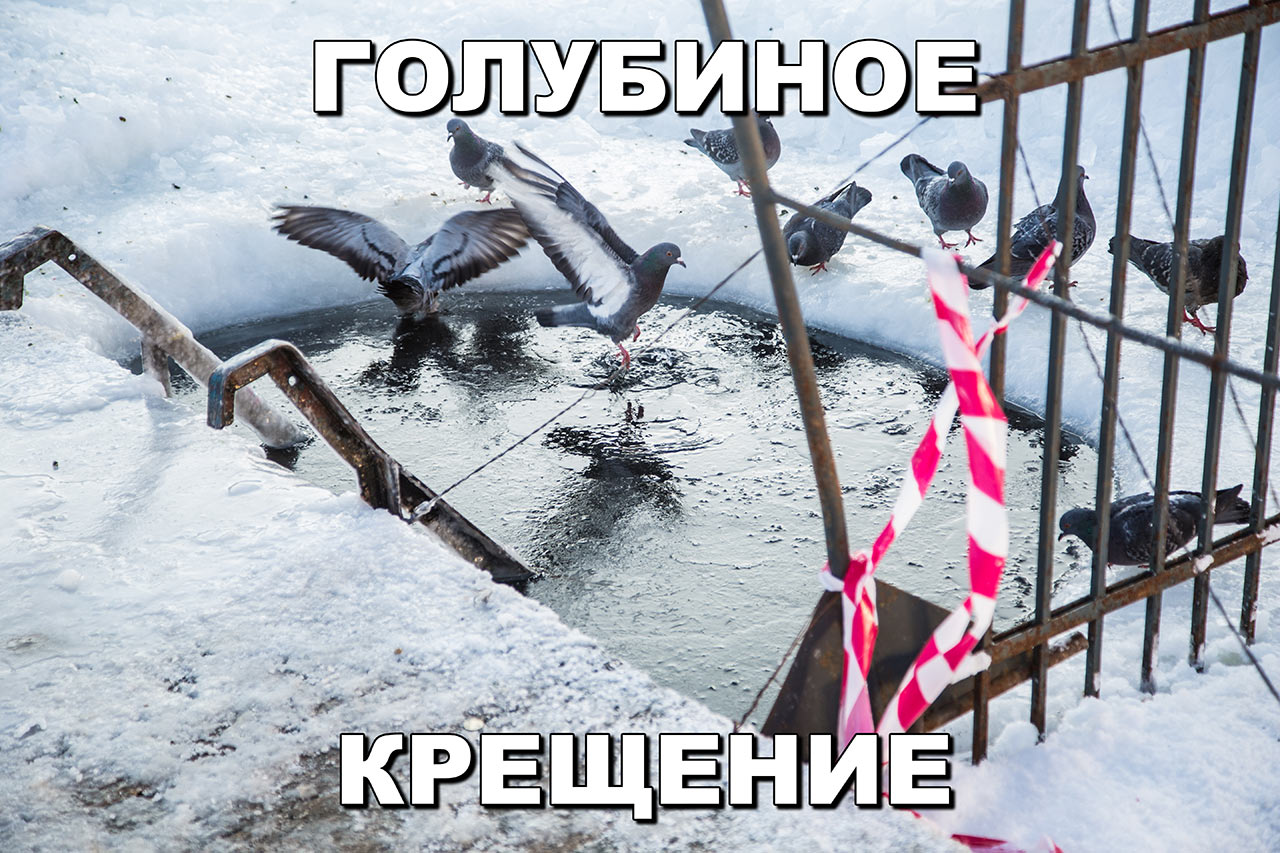 VK -27992616_12553