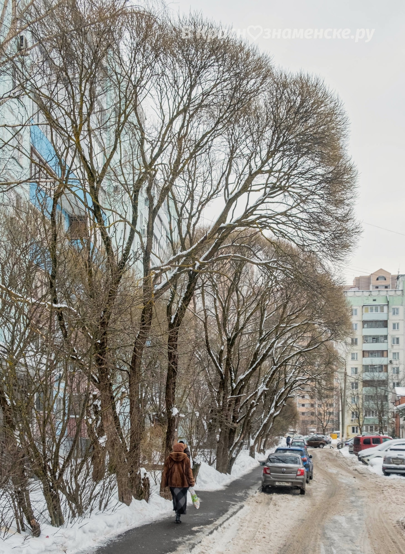 Прогулка по улицам Краснознаменска