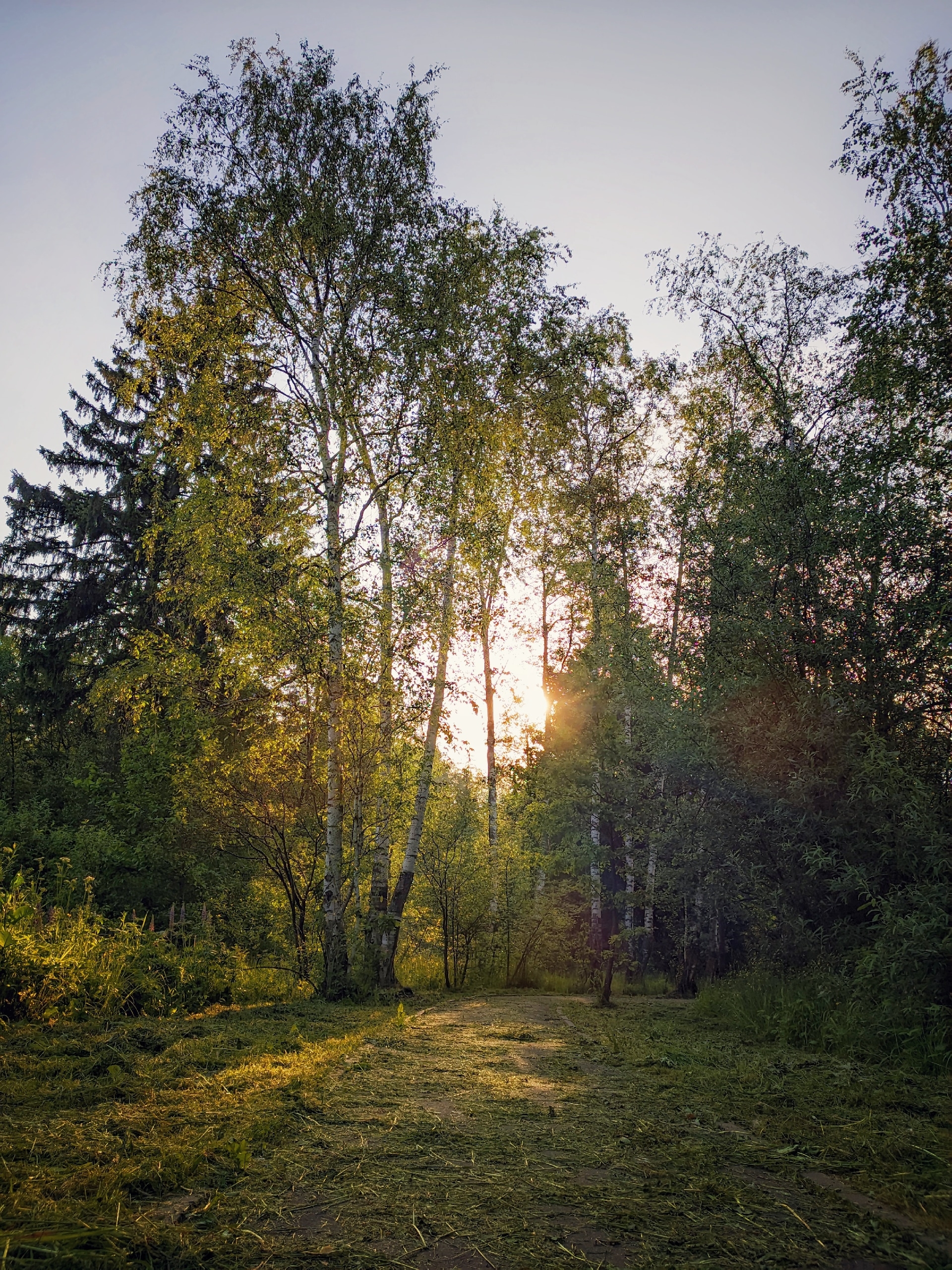 Доброе утро, Краснознаменск