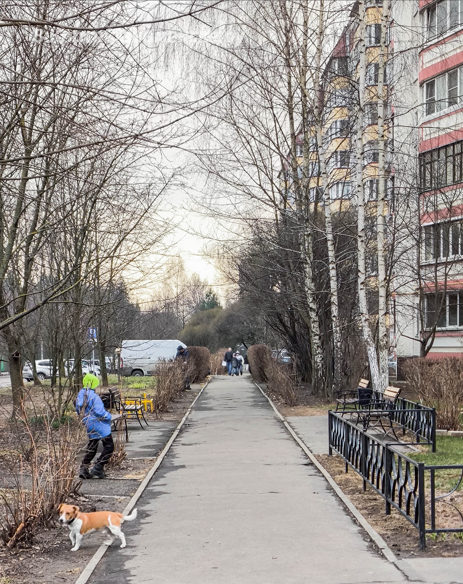 Доброе утро, Краснознаменск! Бодрого вам начала недели)
