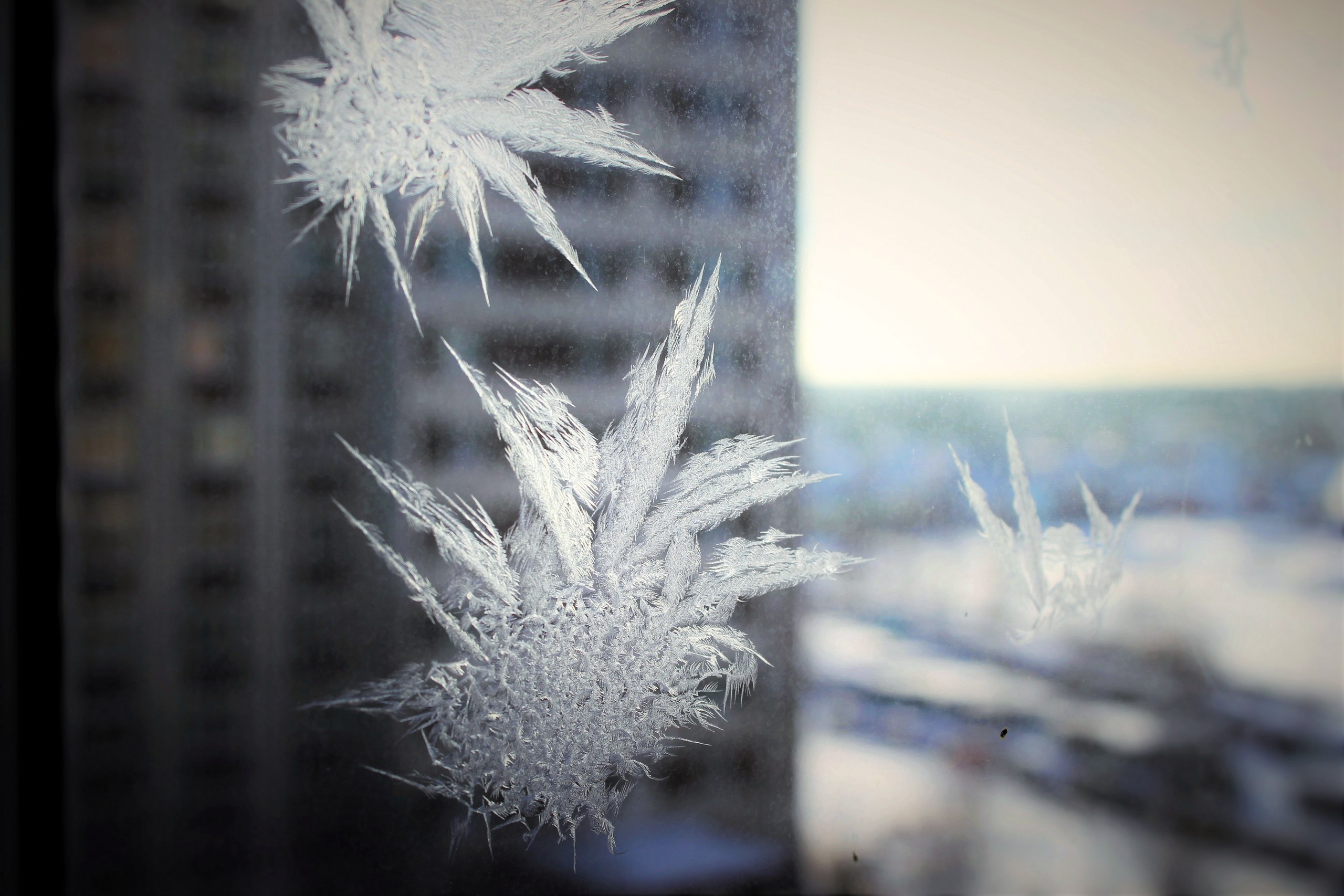 Мороз....снова...⛄????✨ Фото Marinka Marinkova