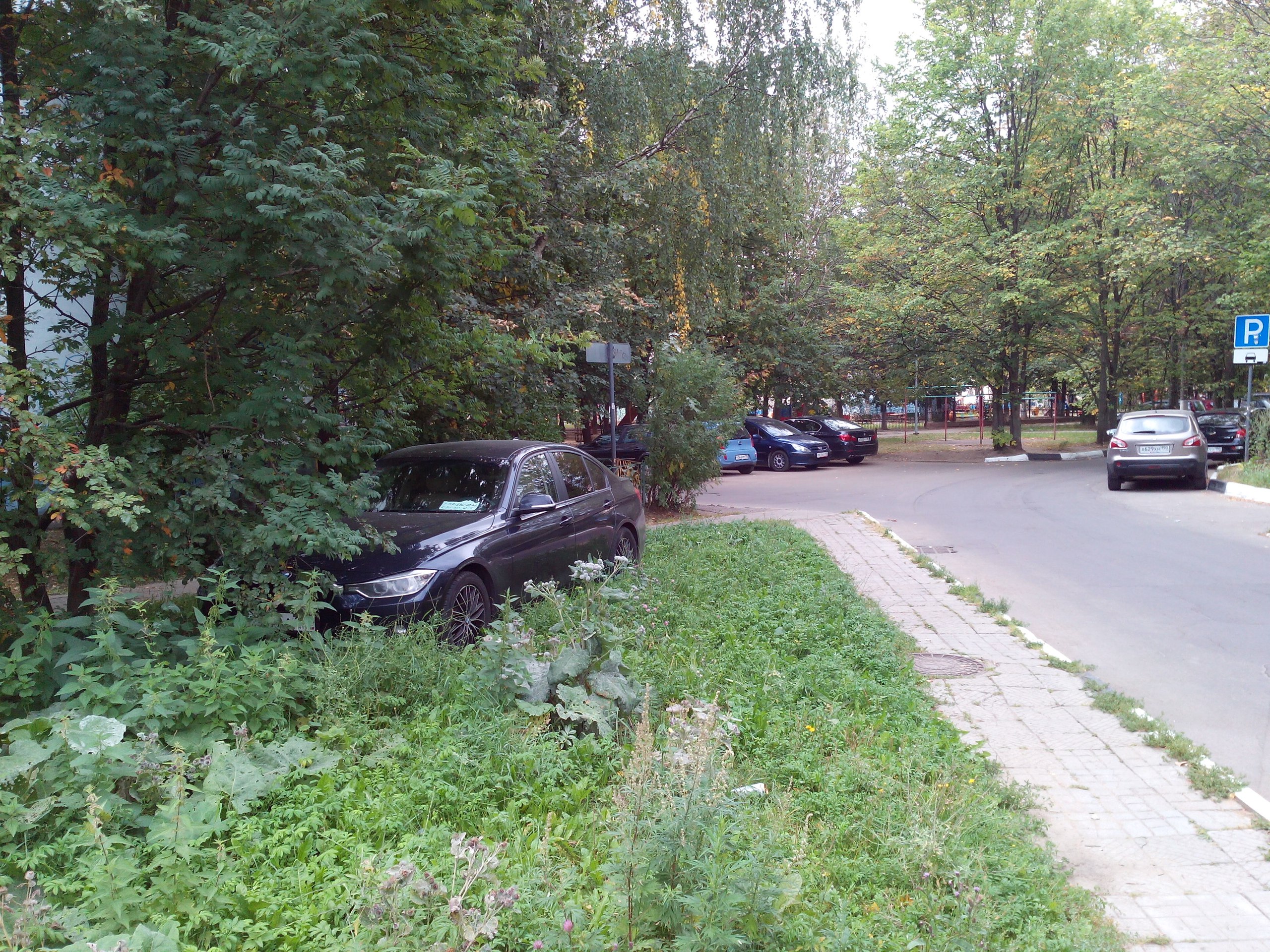 Ближе к природе — Краснознаменск