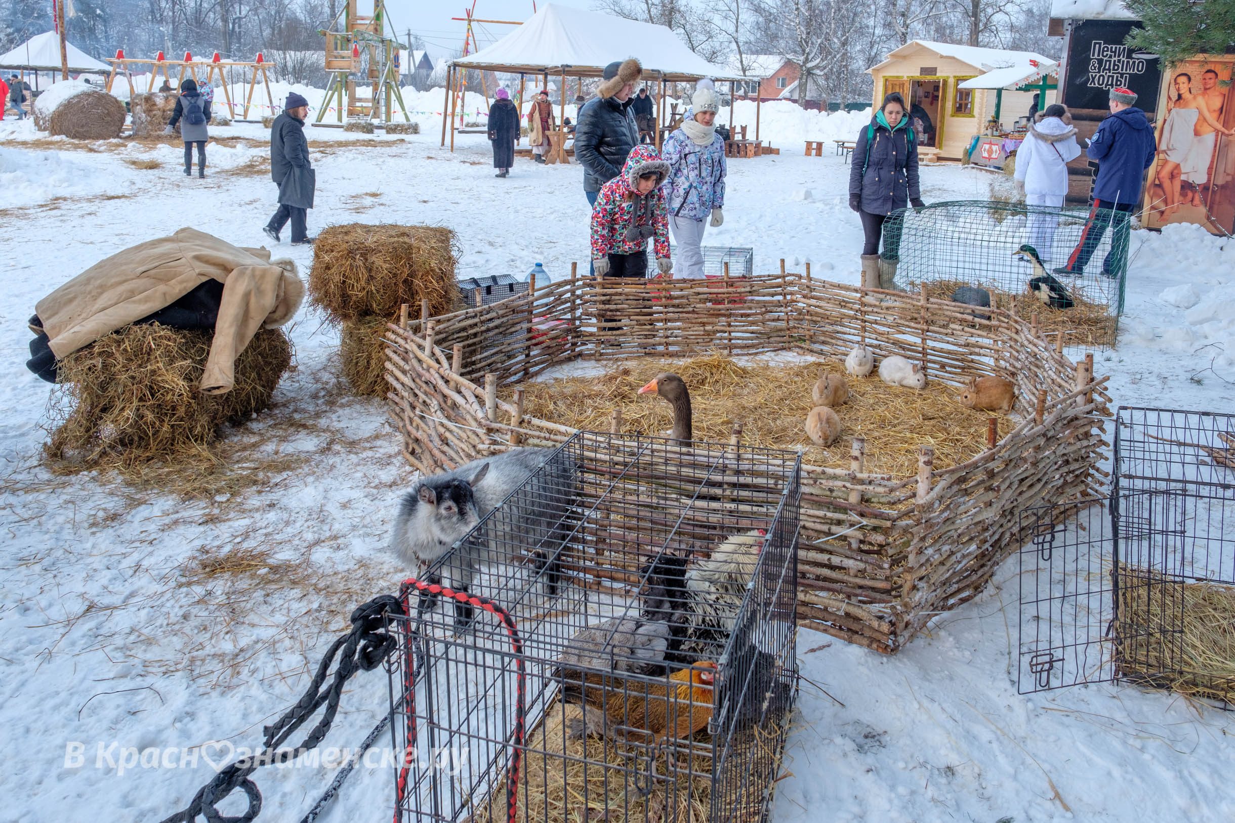 Быстрое меню — Краснознаменск