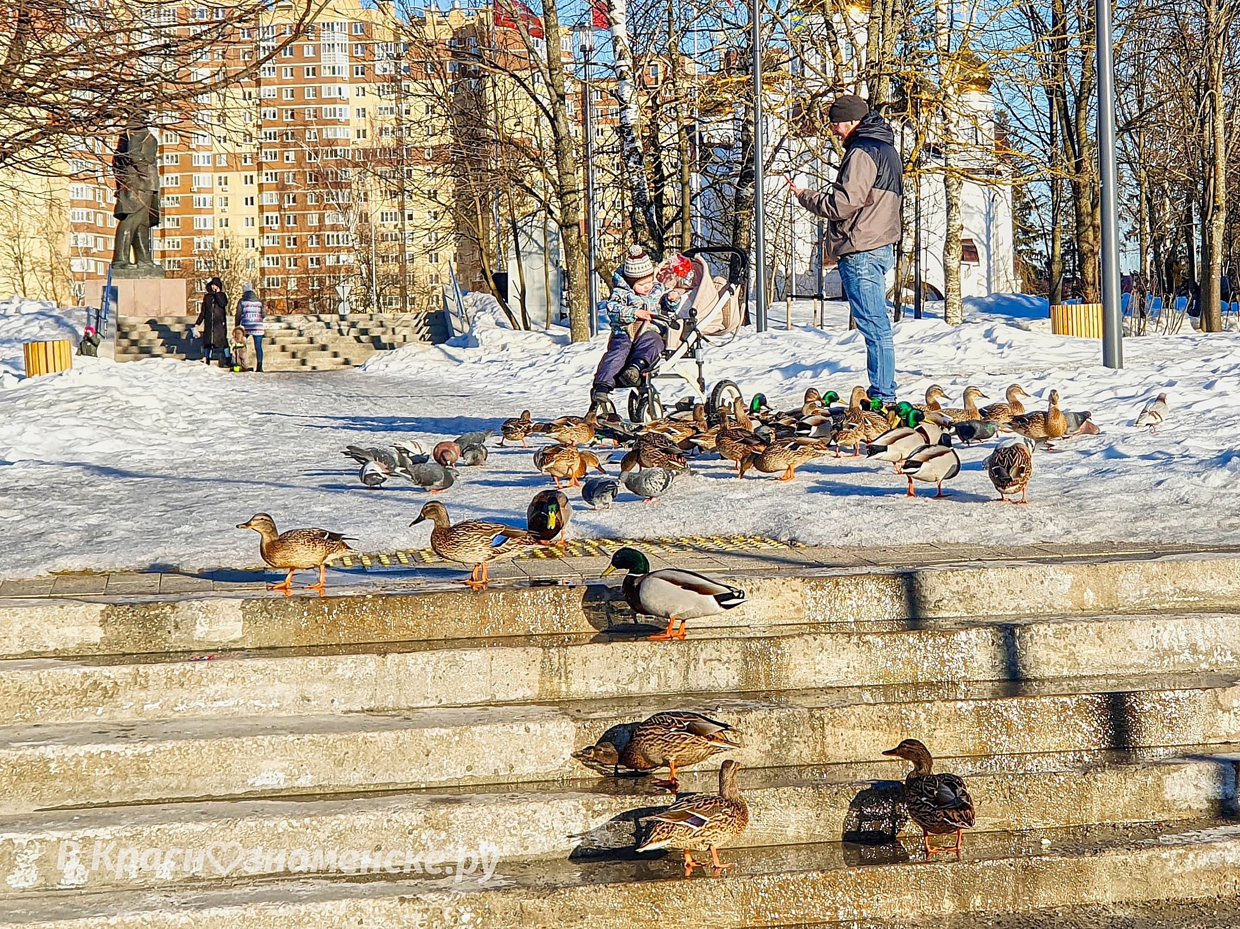 Фото 43437 — Краснознаменск
