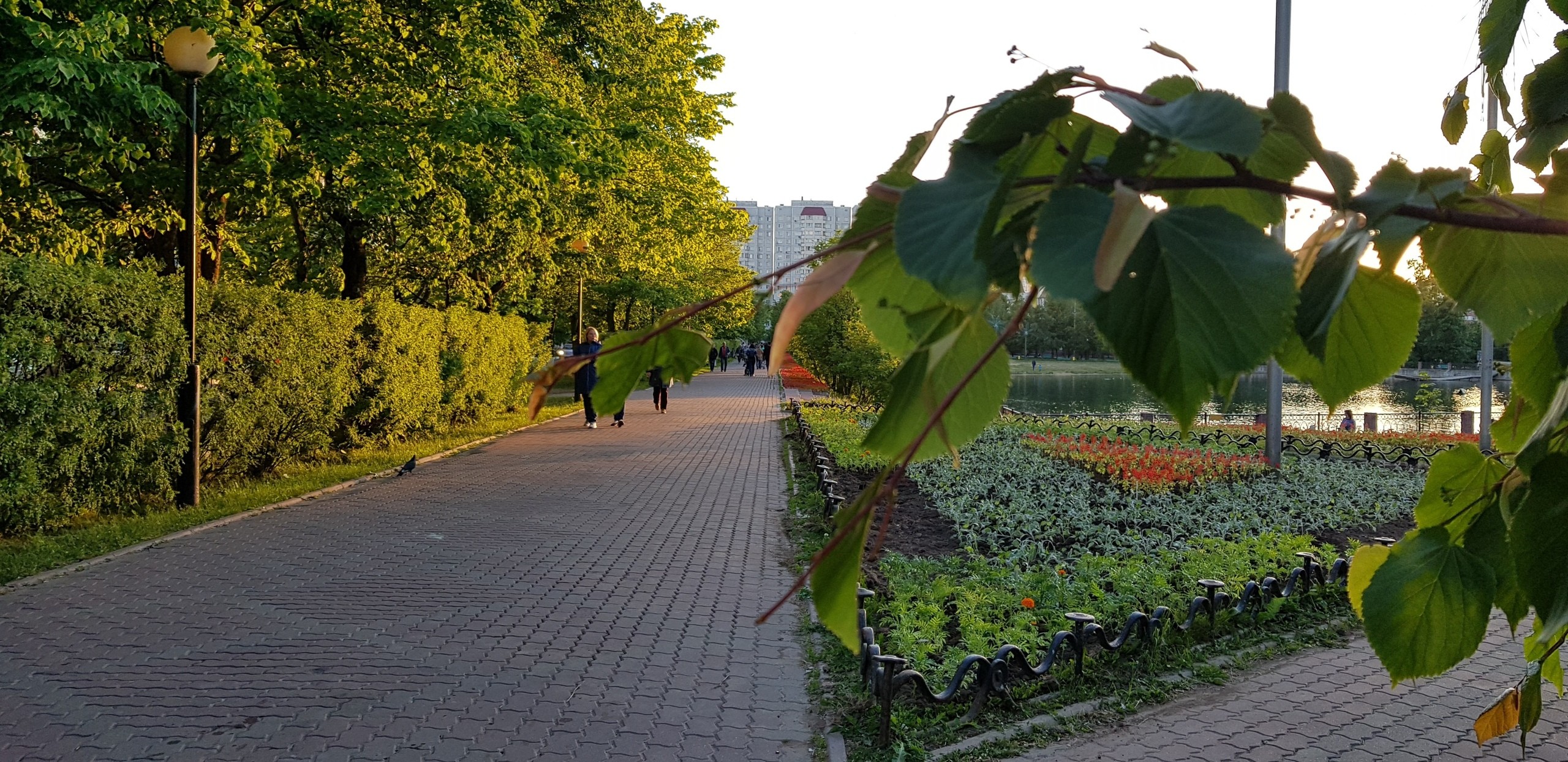 Доброе утро, Краснознаменск! ???? Утром +11°…+18°, Облачно с пр