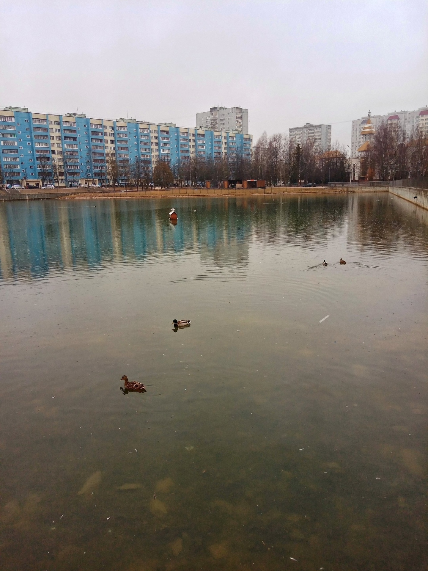 ???? Наталья Меняйлова — Краснознаменск