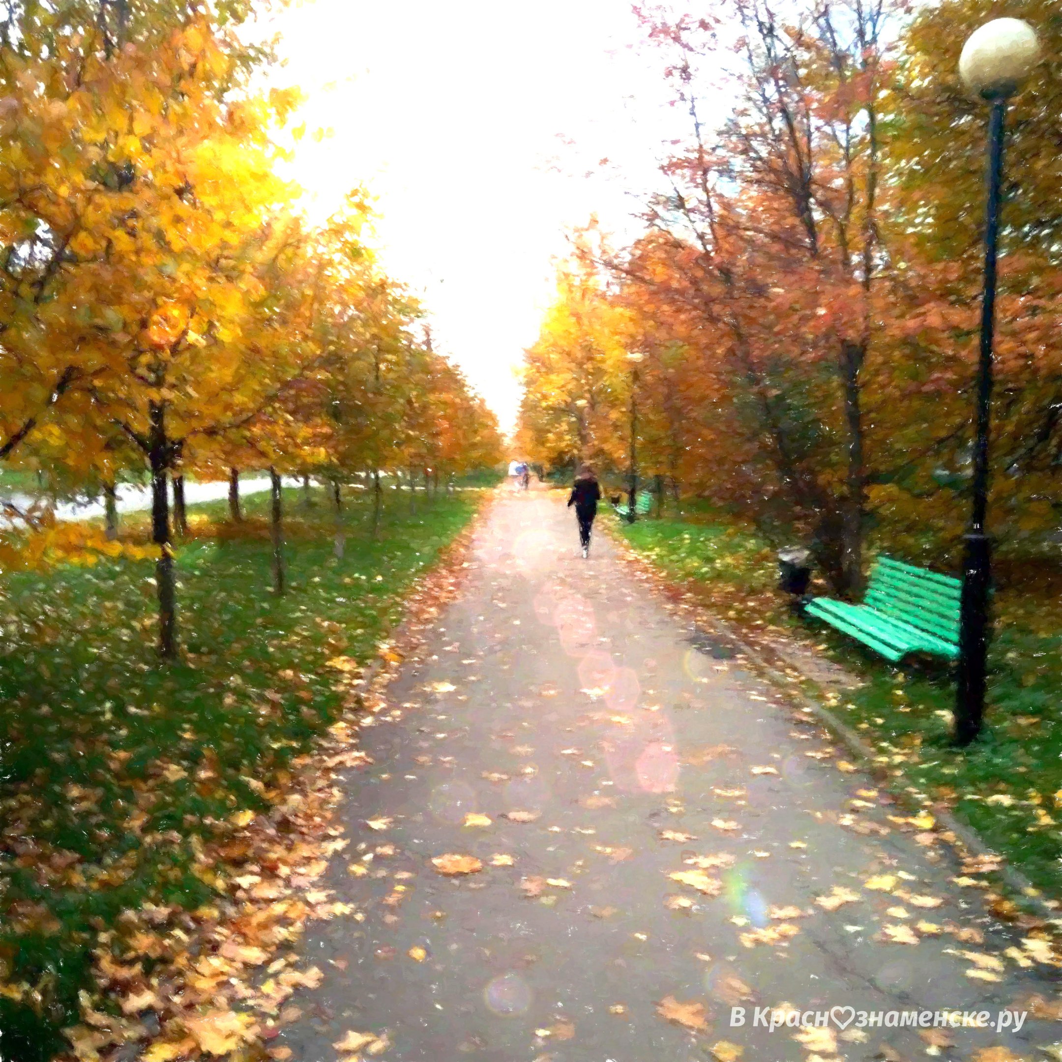 Красота