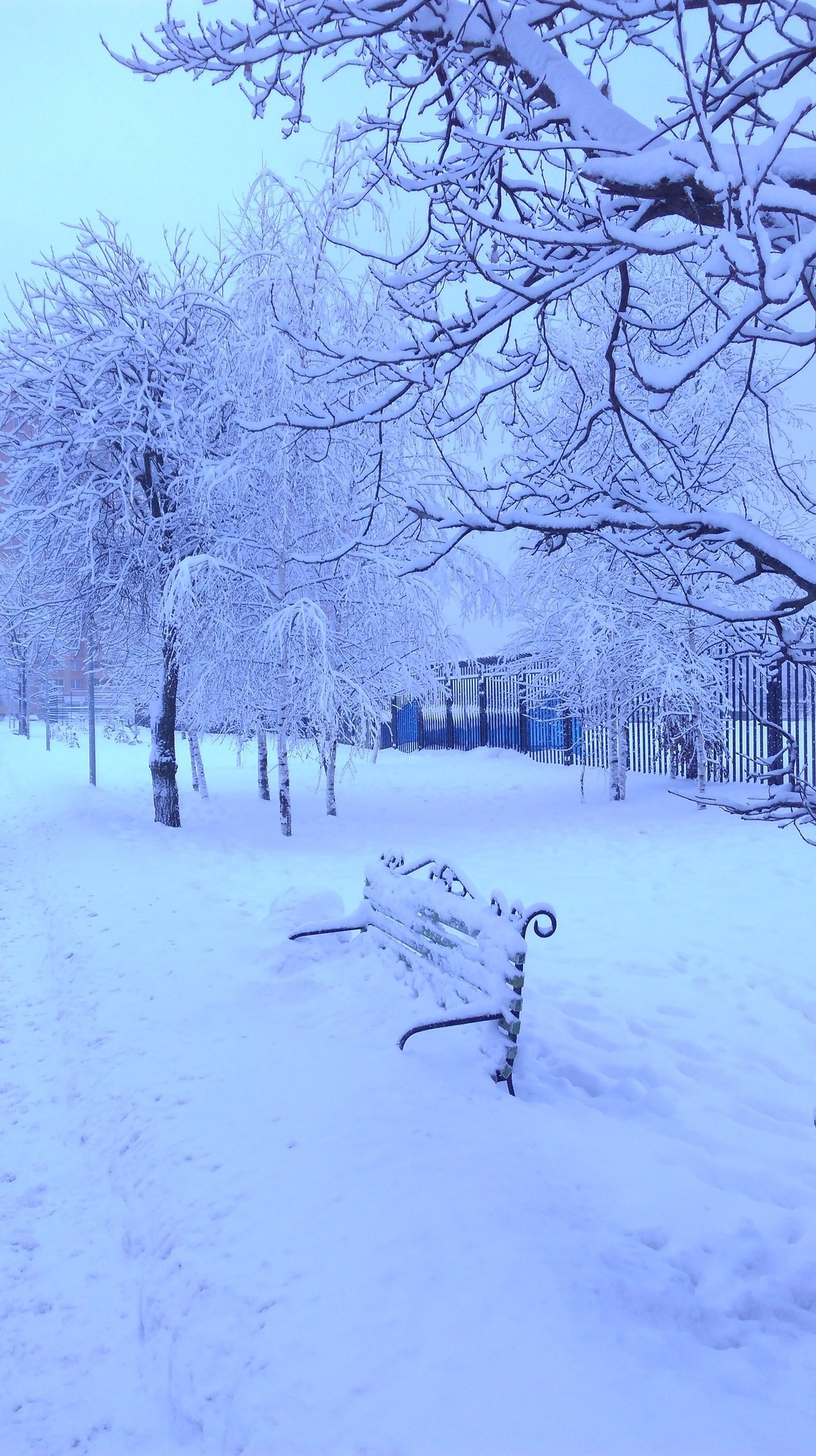 Сказочная зима ❄️ — Краснознаменск