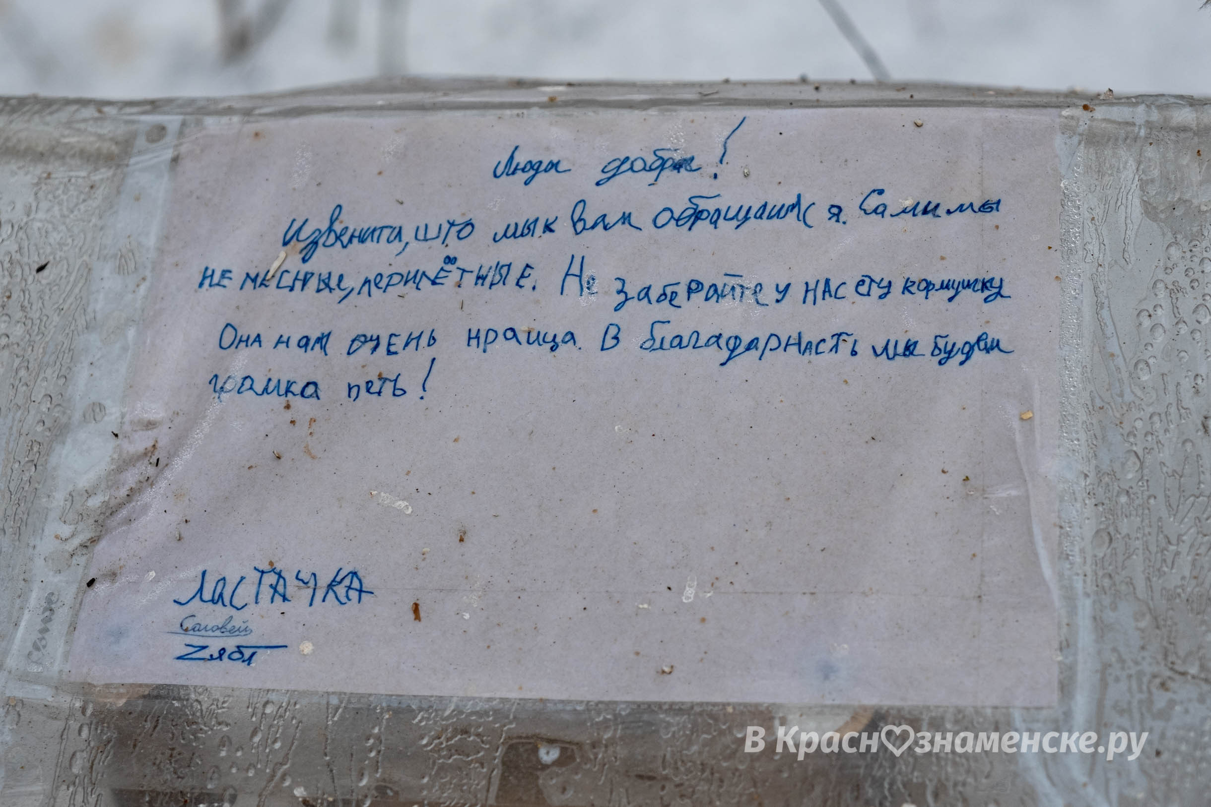 Вот такую кормушку с письмом от птиц, можно увидеть в городс