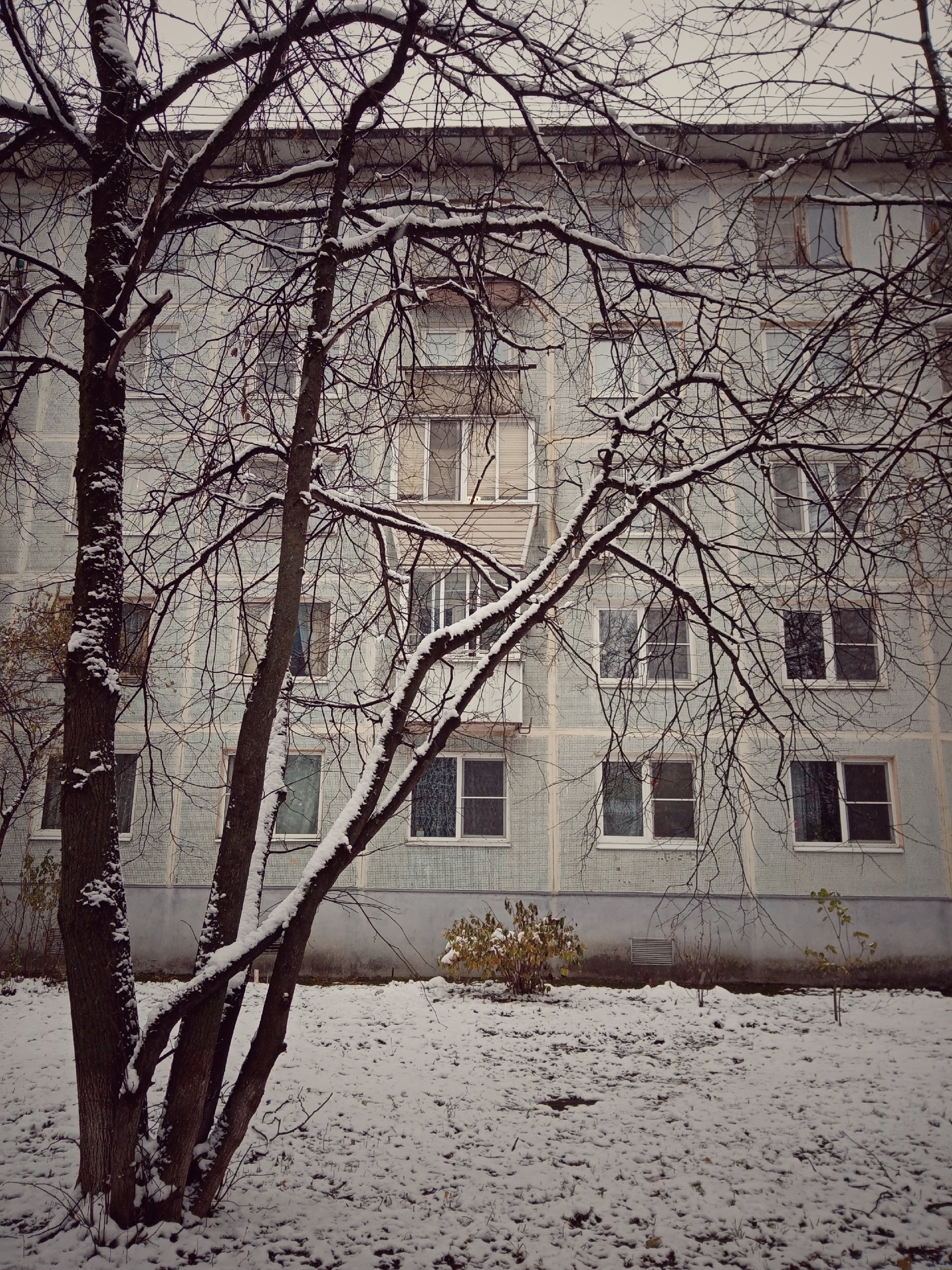 Прогулка по городу — Краснознаменск