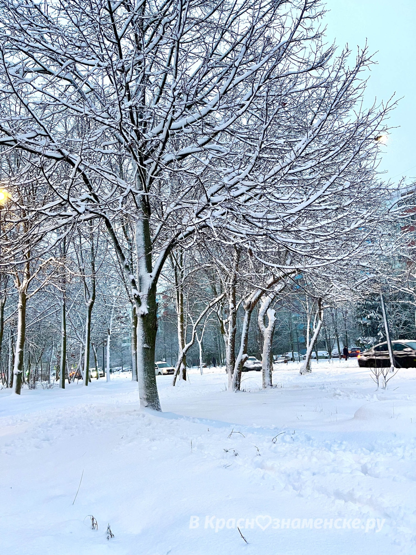 Утренняя прогулка по снежному городу ❄️  © в Краснознаменске