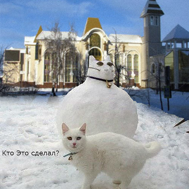 VK -27992616_237896