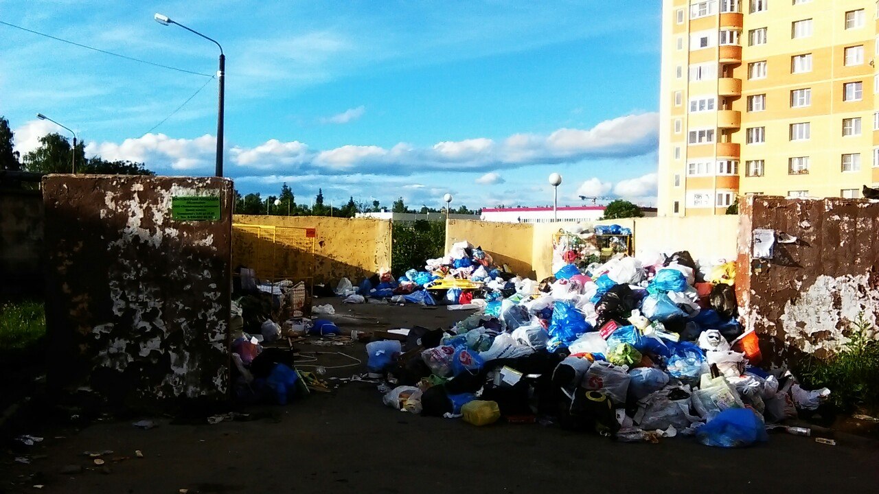 А мы все растем