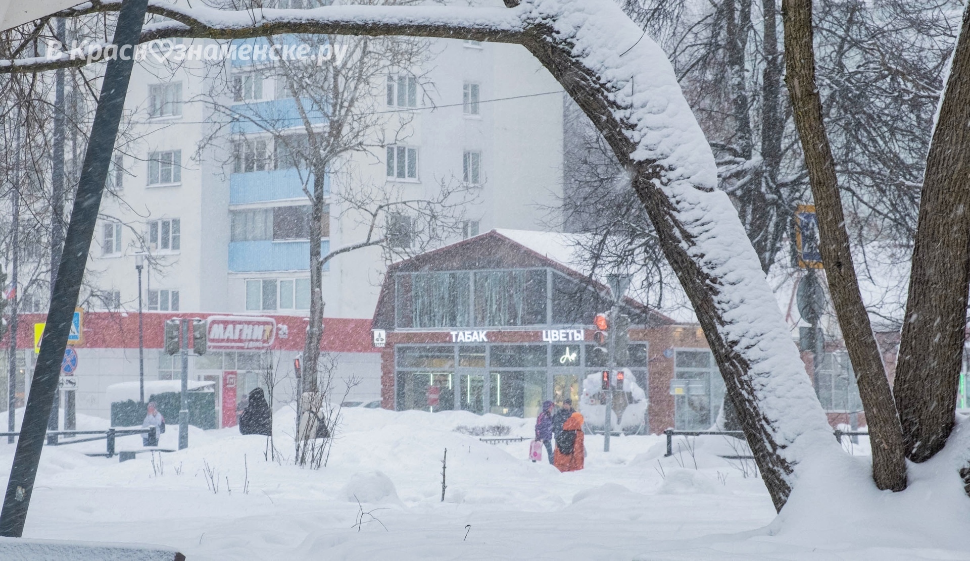 Январская прогулка по улицам города 2024г. — Краснознаменск