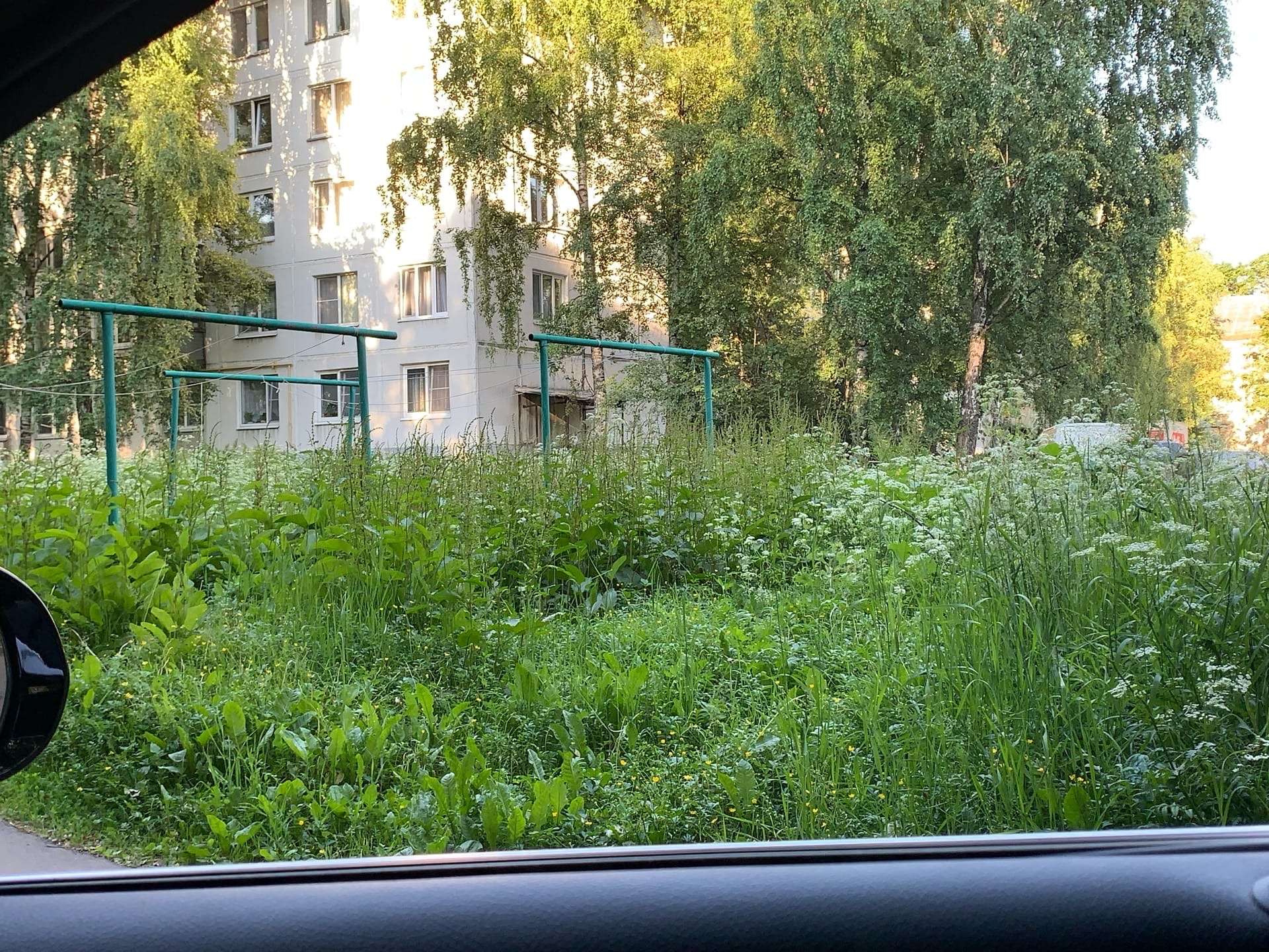 Почему за лето ни разу не косили траву?Раньше такого не было