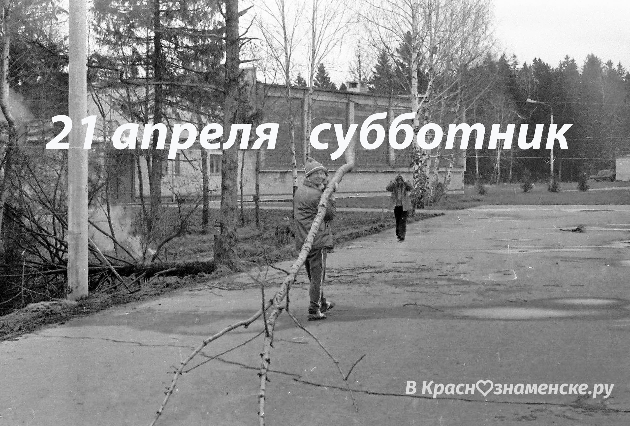 Фото 48033 — Краснознаменск