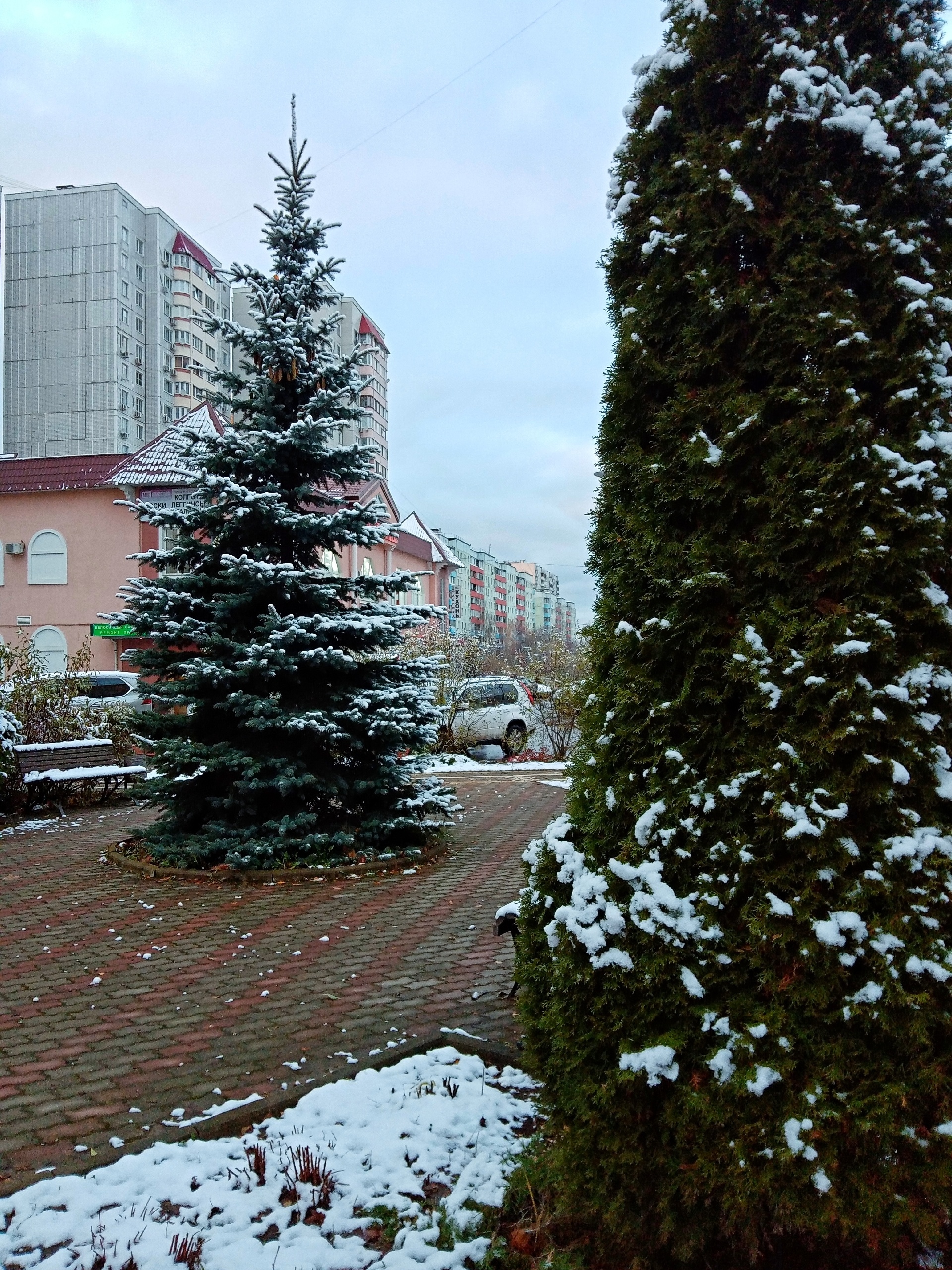 Прогулка по городу. — Краснознаменск