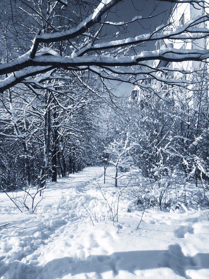❄️