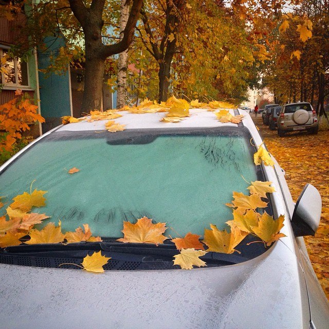 Автор фотографии actual_project