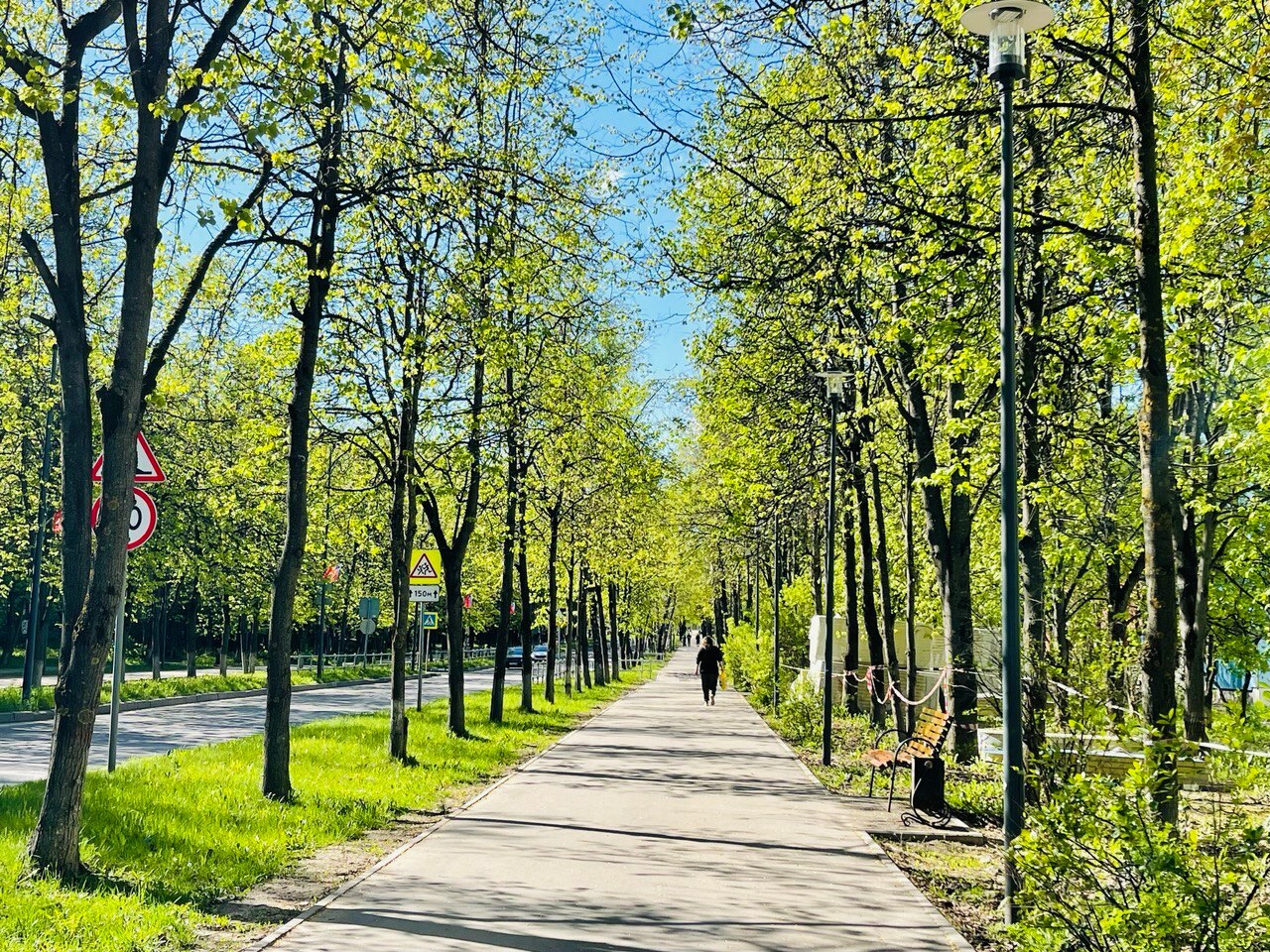 Майские деньки. Прогулка по городу.