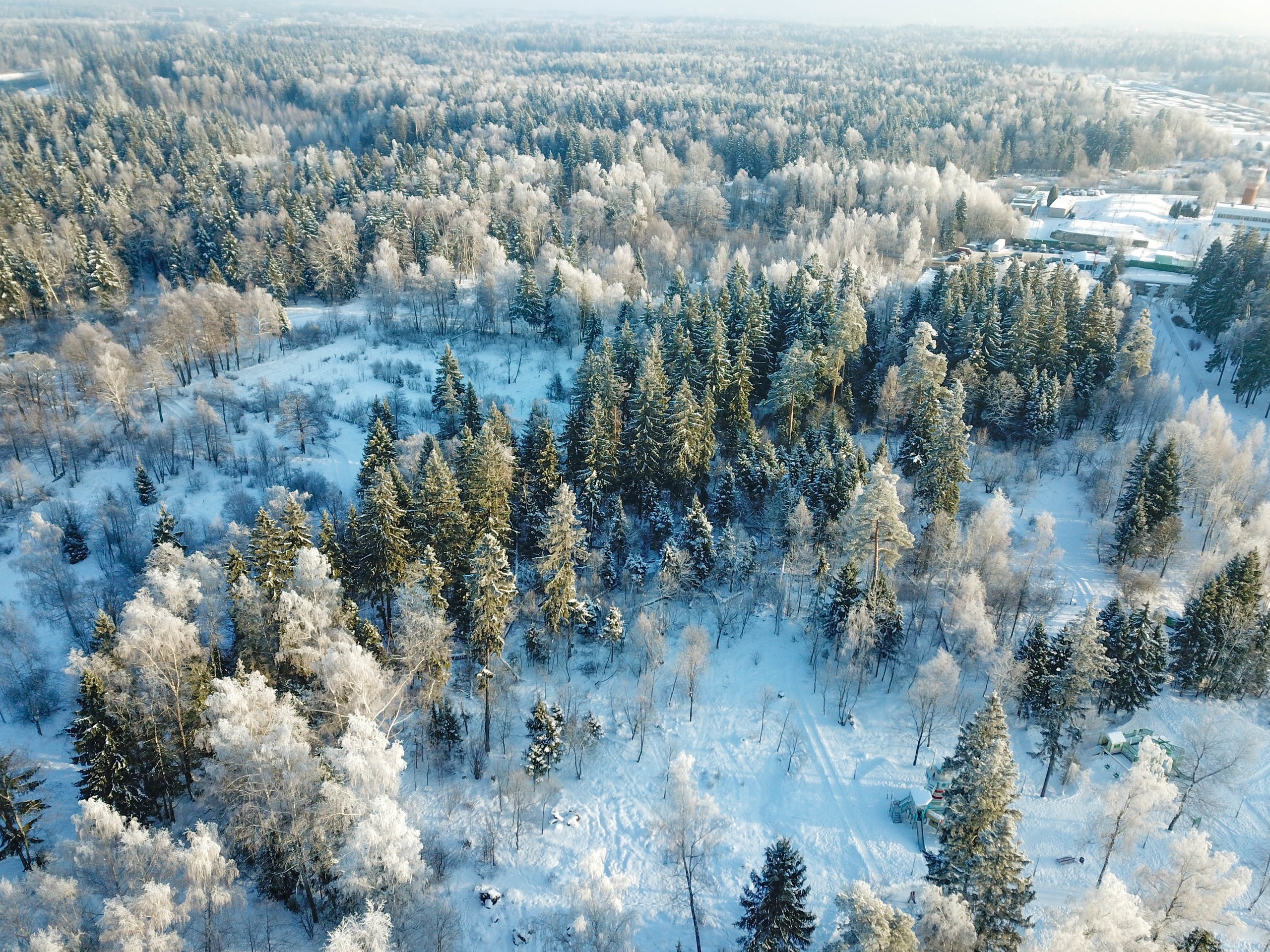 Доброе утро, Краснознаменск!❄ Утром, -14°... -12°, Небольшой