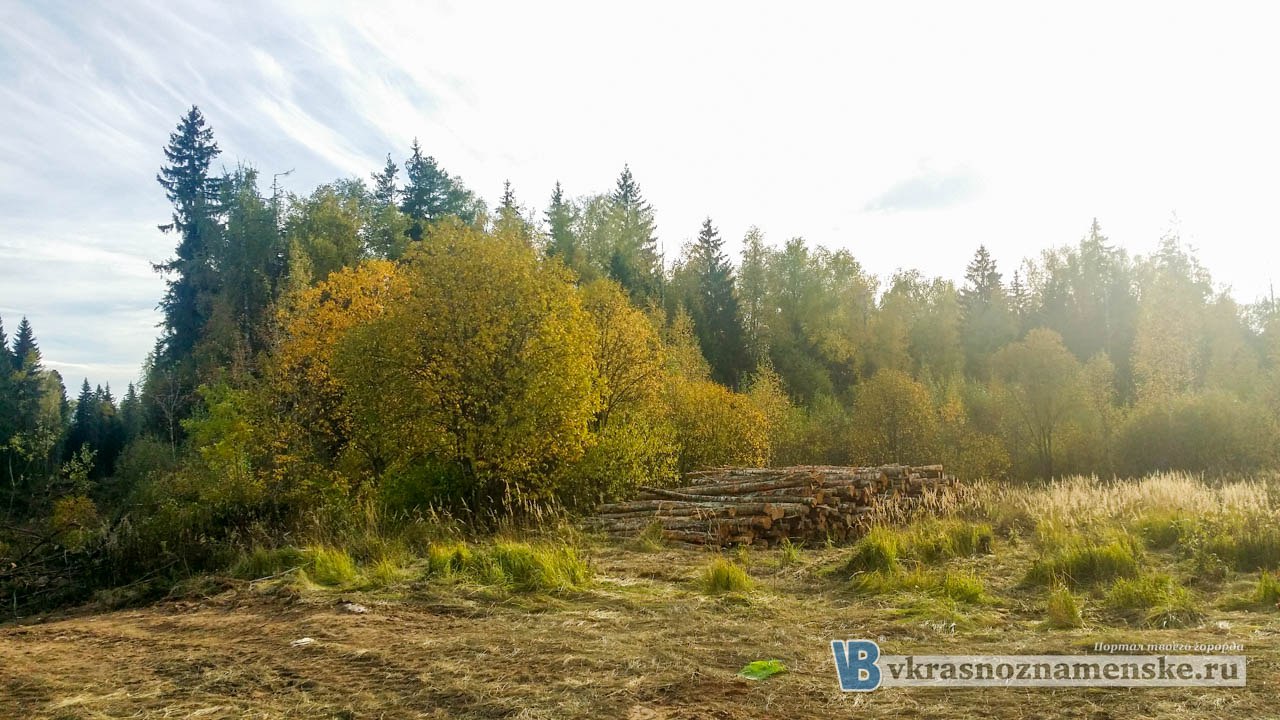 Быстрое меню — Краснознаменск