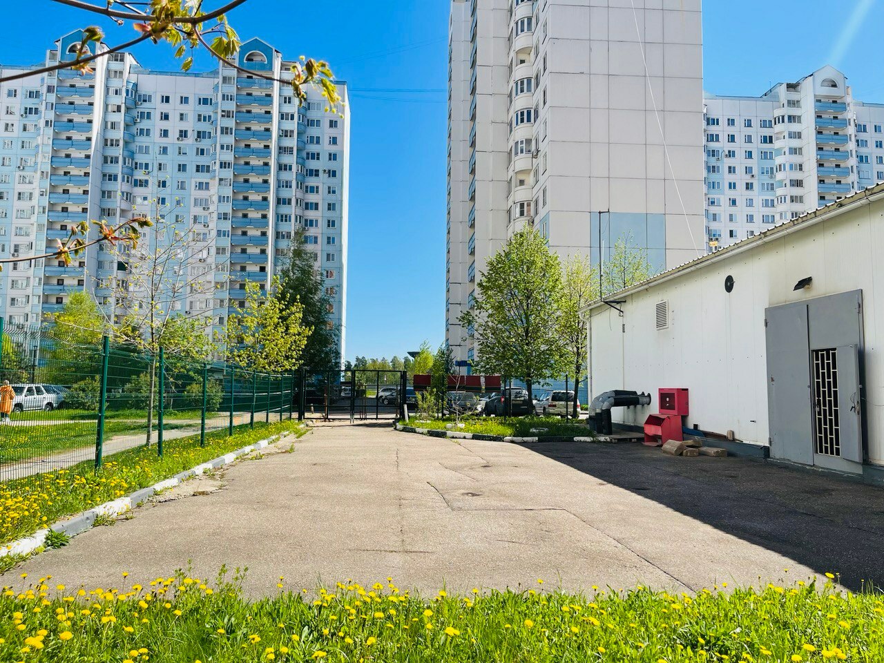 Майские деньки. Прогулка по городу. — Краснознаменск