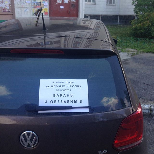 Автор фотографии Maksim_Skuridin
