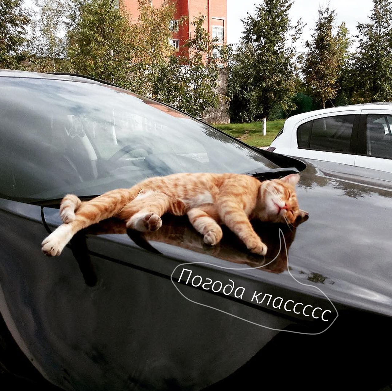 Автор фотографии elenadecorart