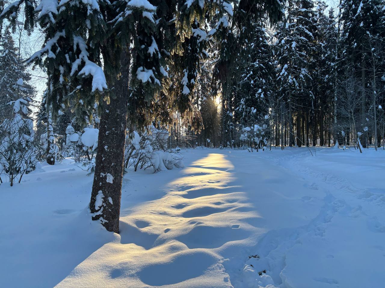 Морозное утро в Городском парке  © Парки Краснознаменска ???? t
