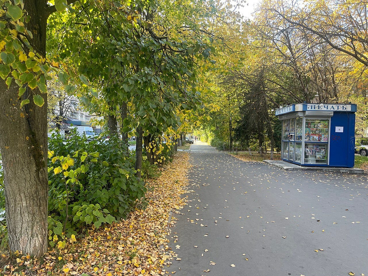 Прогулка по городу — Краснознаменск