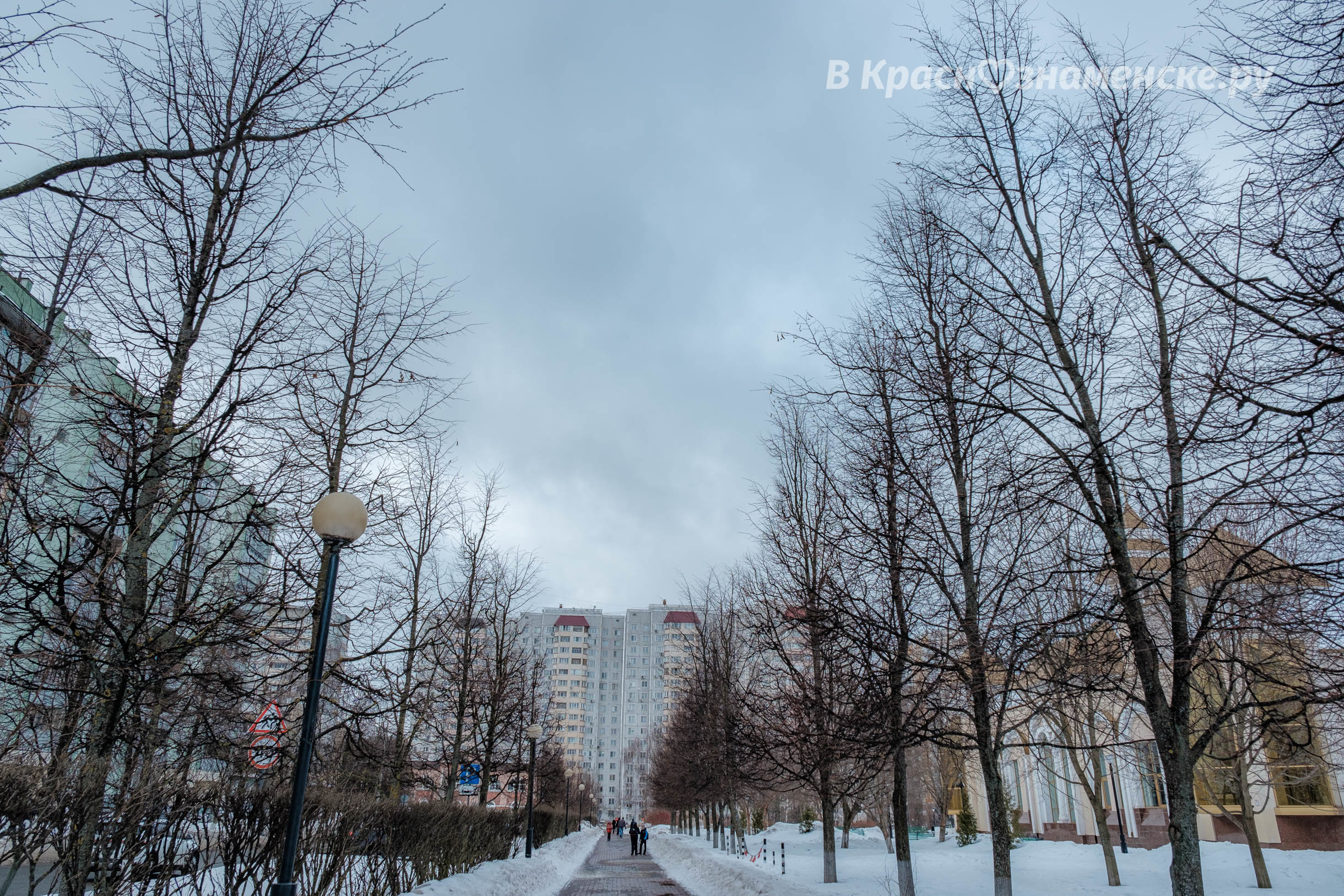 Доброе утро, Краснознаменск! Утром -8°… -4°, Снег, Давление: