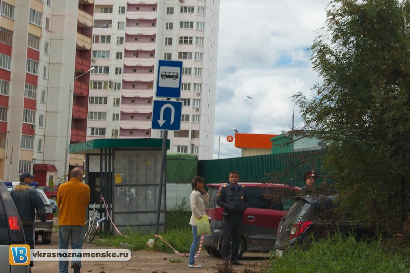 Срубил дерево на автомобиль 
Или последствие, нашествия жука короеда 2
Сижу пью чай себе, вдруг слышу громкий хруст, смотрю в окно и наблюдаю целую картину.
Строители обвалили дерево на припаркованный автомобиль, после этого они в том же духе дел