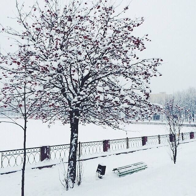 Доброе утро, любимый город!❄ Утром, -2°... -1, Снег, Давлени