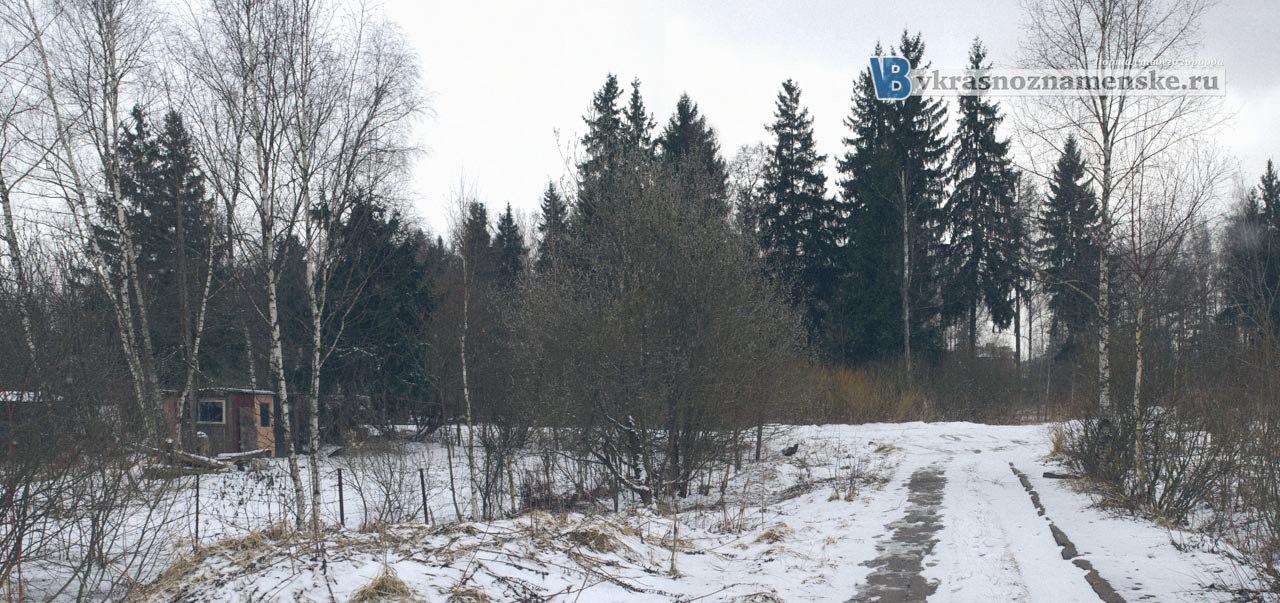 Огороды в Краснознаменске