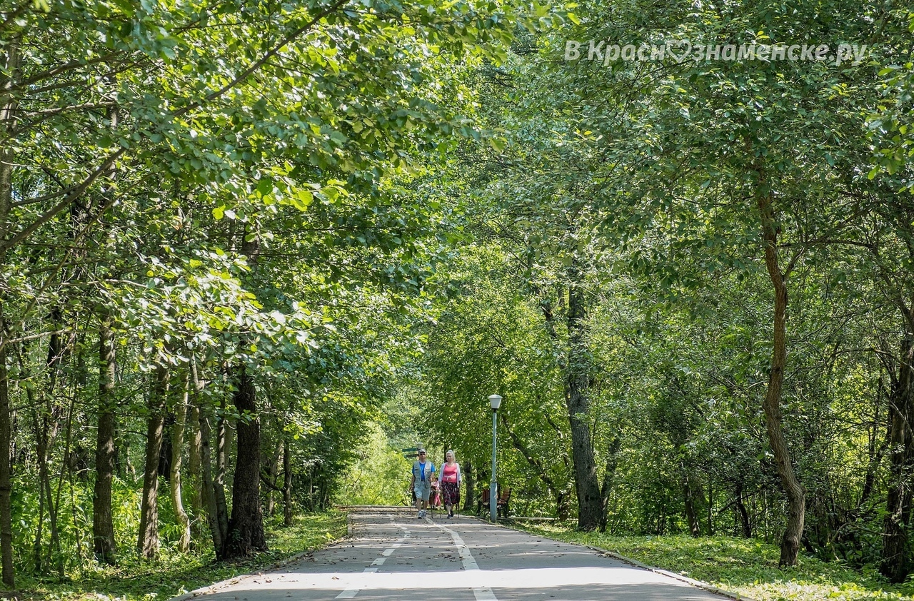 Доброе утро, Краснознаменск! Бодрого вам начала недели)