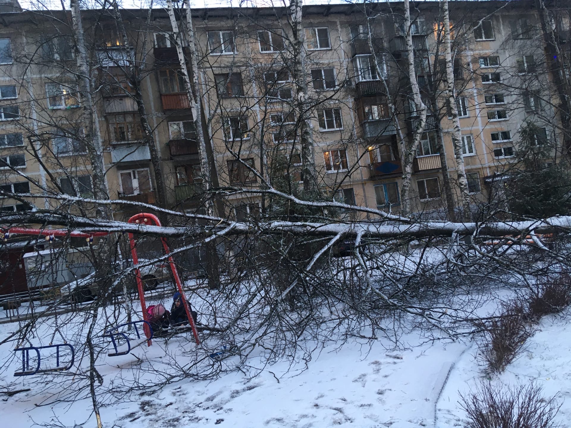 На Парковой 8 после сильного града обвалилось дерево на детс