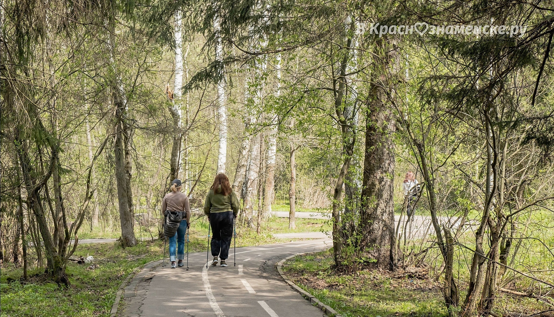 Доброе утро, Краснознаменск. Удачного и доброго начала дня.
