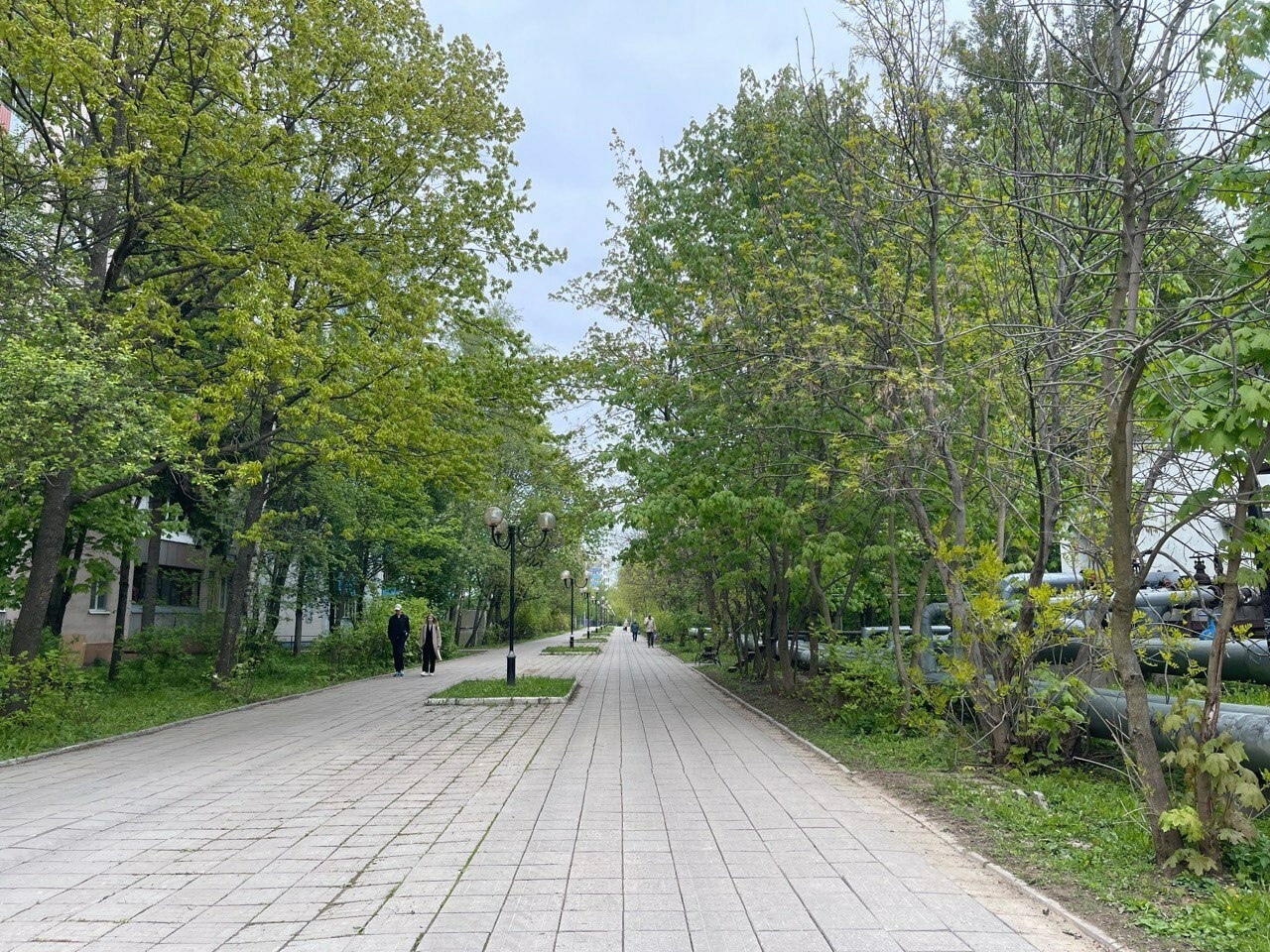 Доброе утро, Краснознаменск!