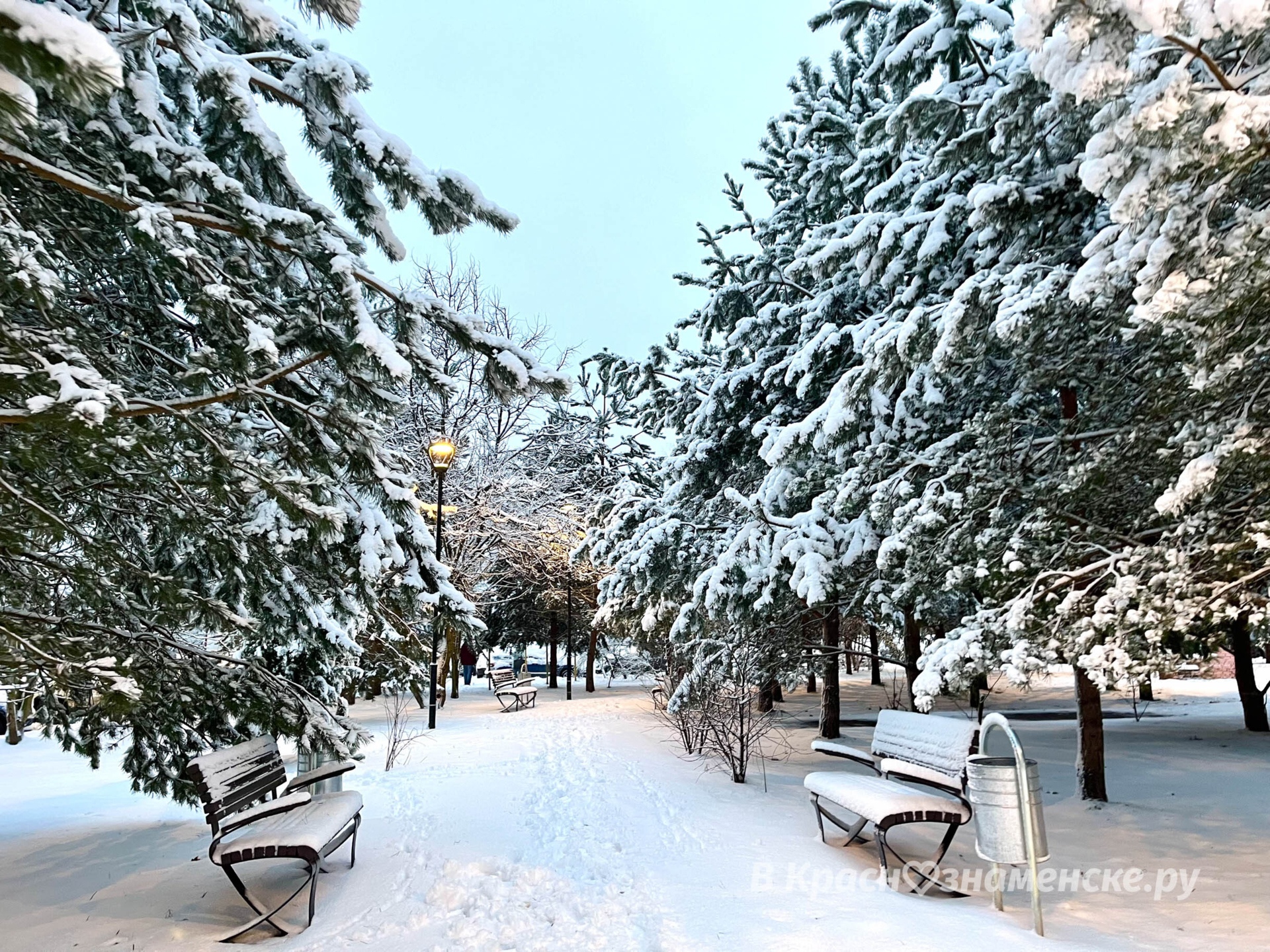 Утренняя прогулка по снежному городу ❄️  © в Краснознаменске